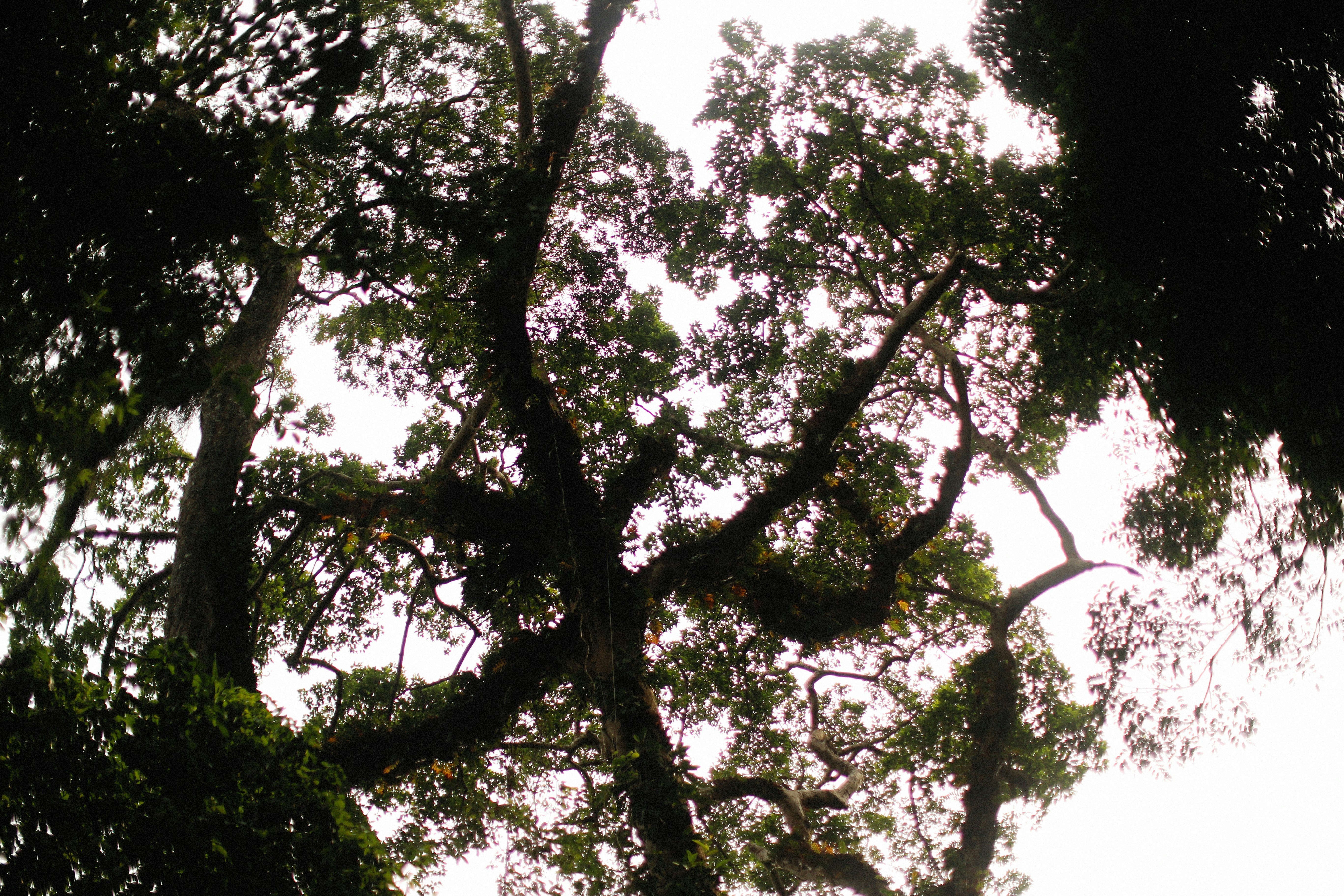 Photo by alexeydemidov