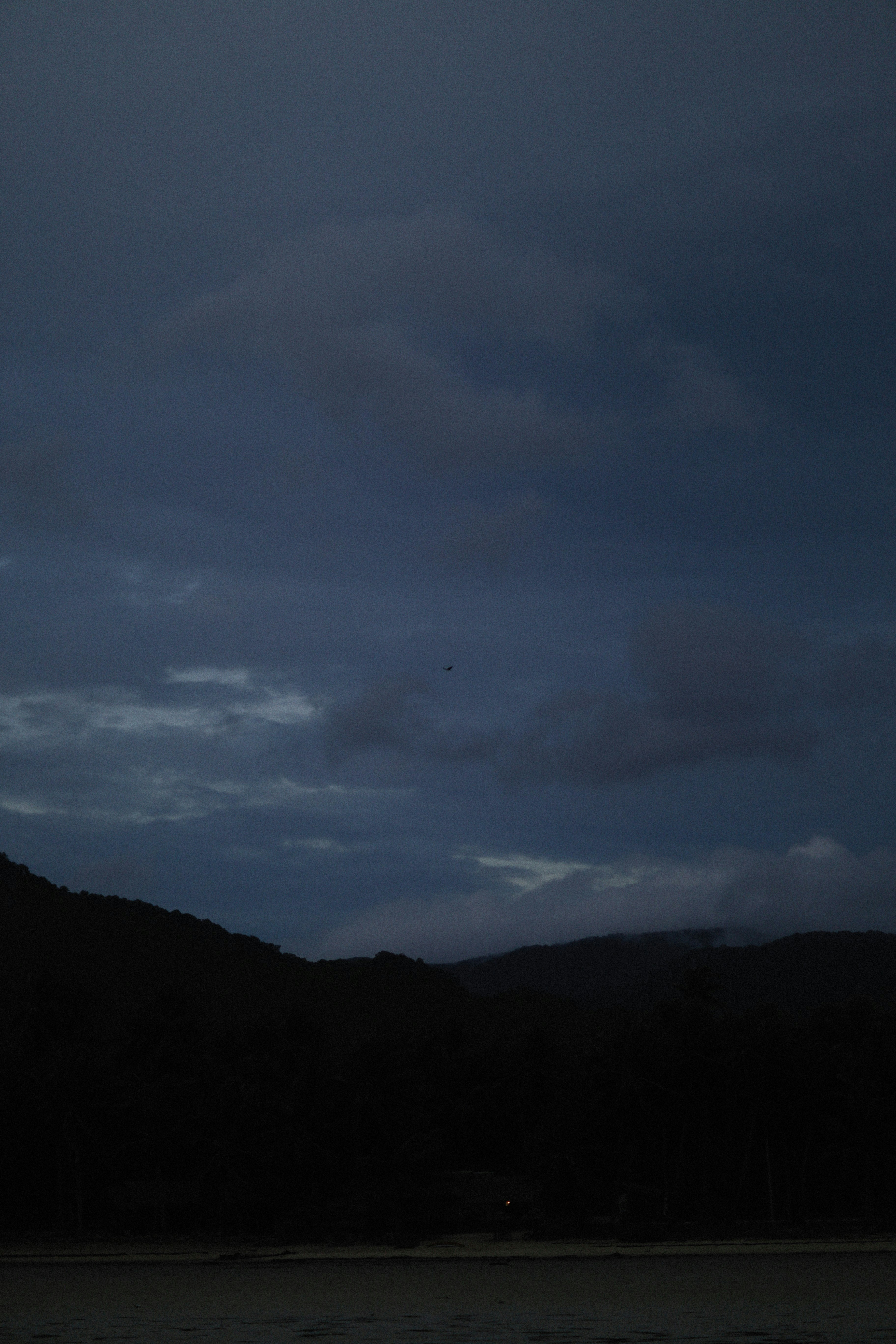 Photo by alexeydemidov