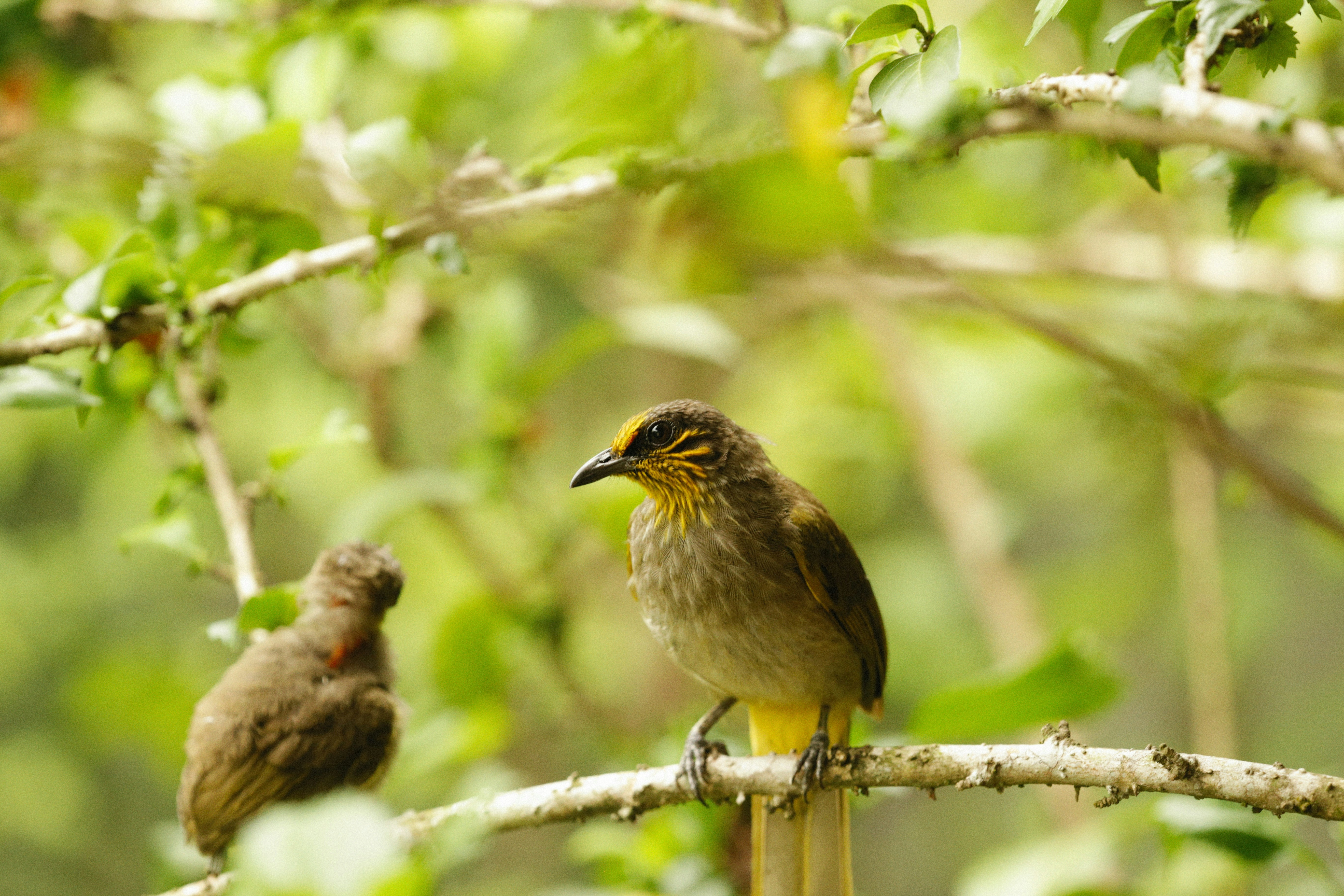 Photo by alexeydemidov