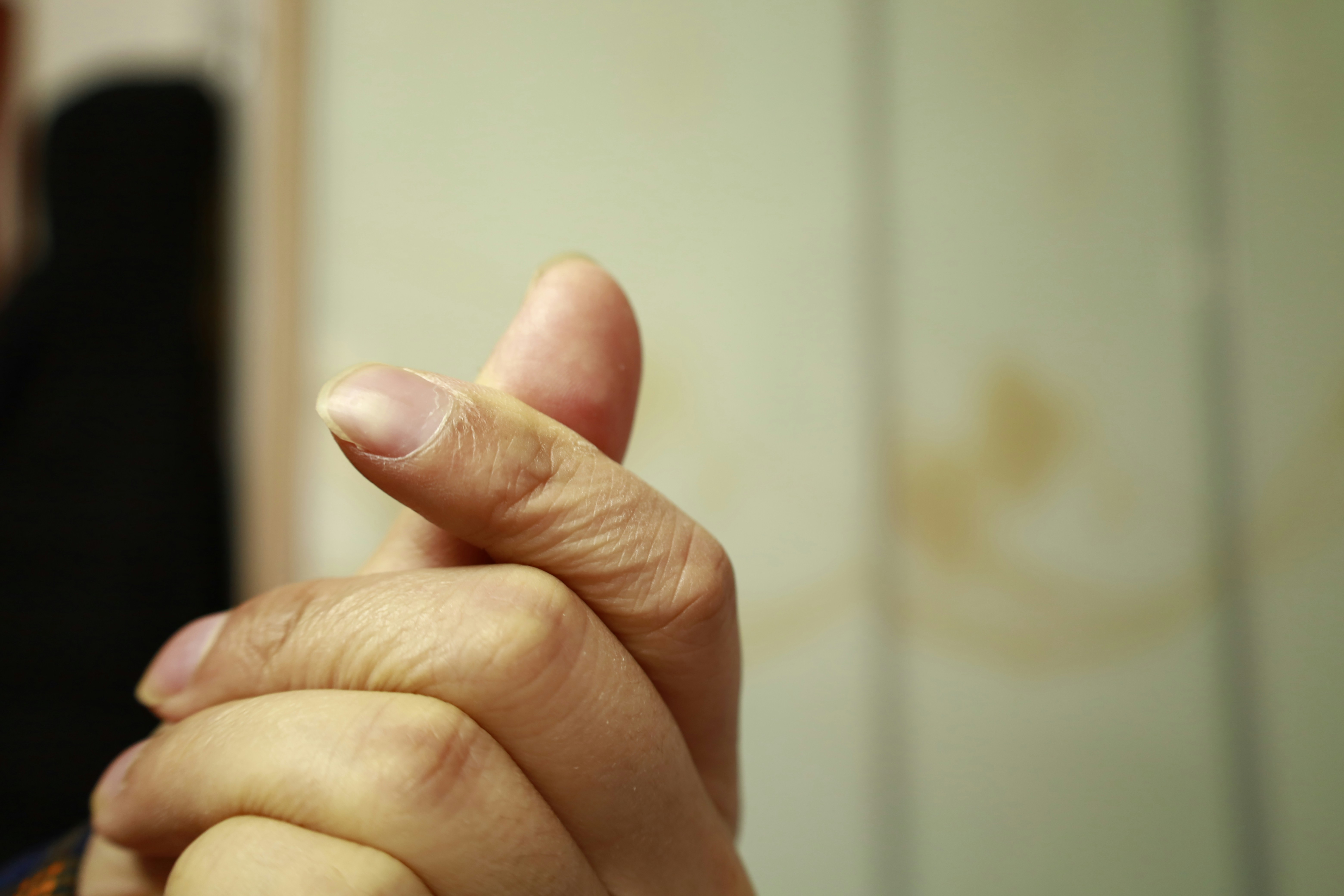 phone with pest control contact number on the screen - emergency pest control lufkin tx