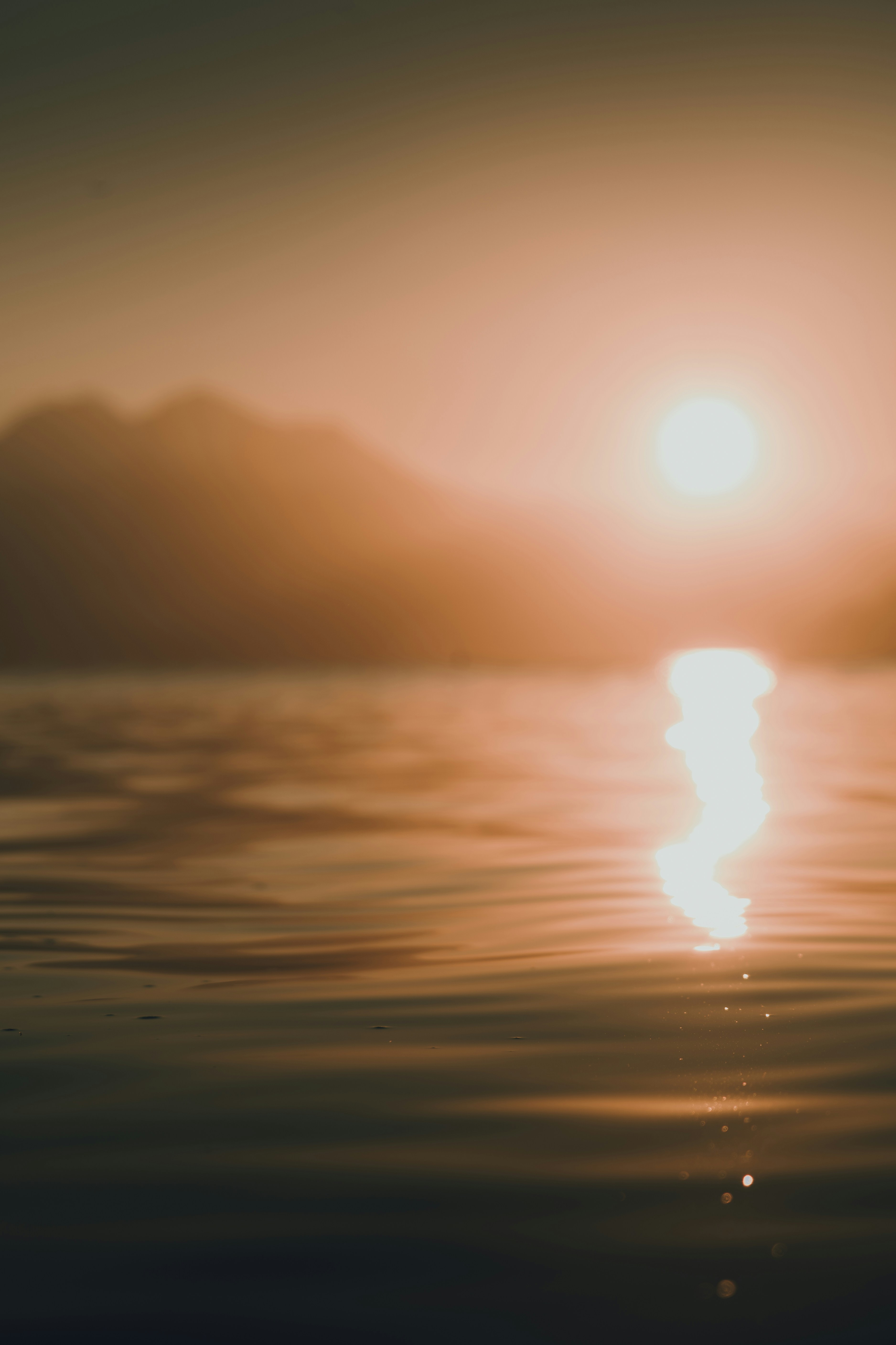 Photo by benaja_photos