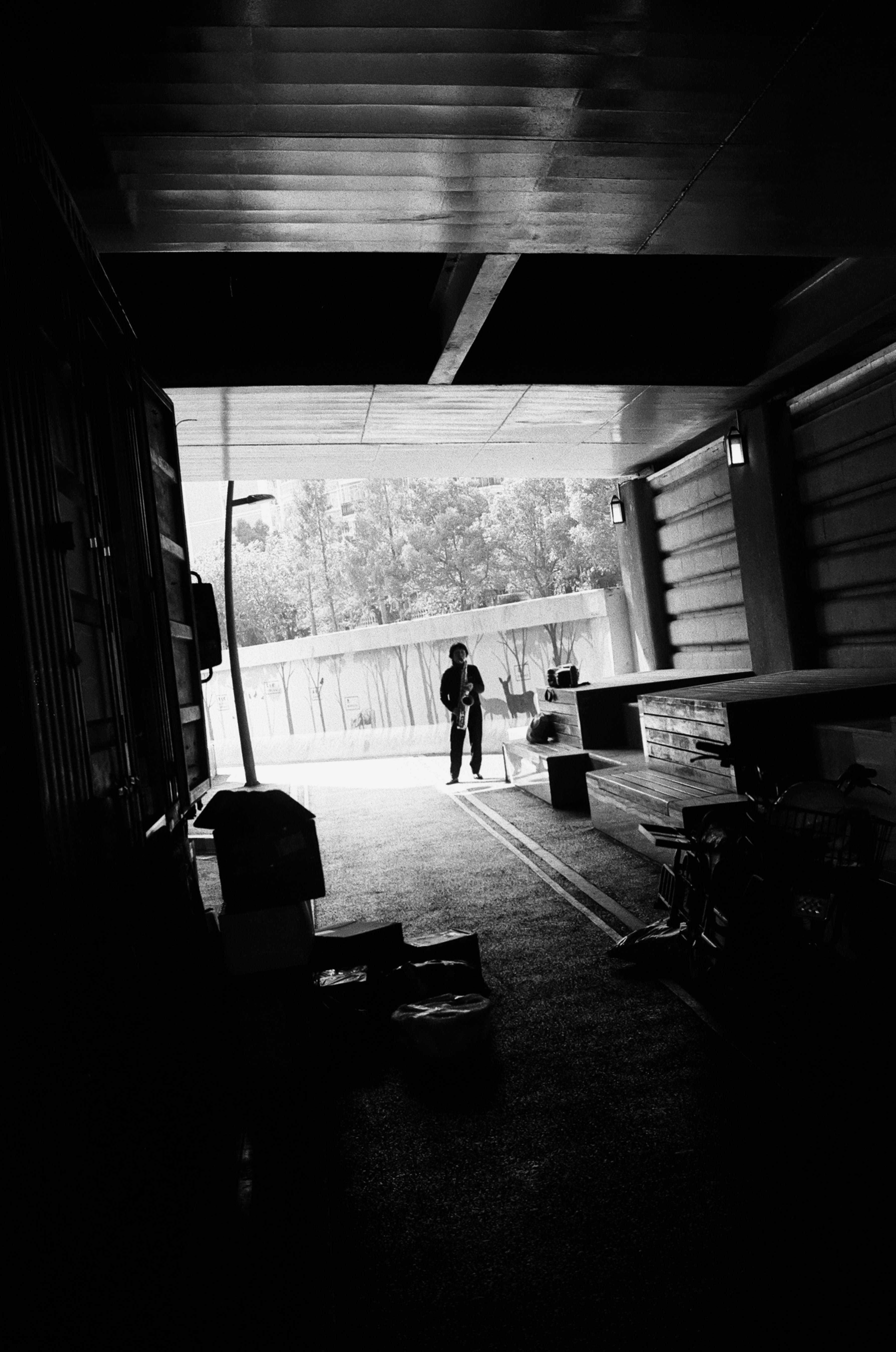 Photo by geraltyichen