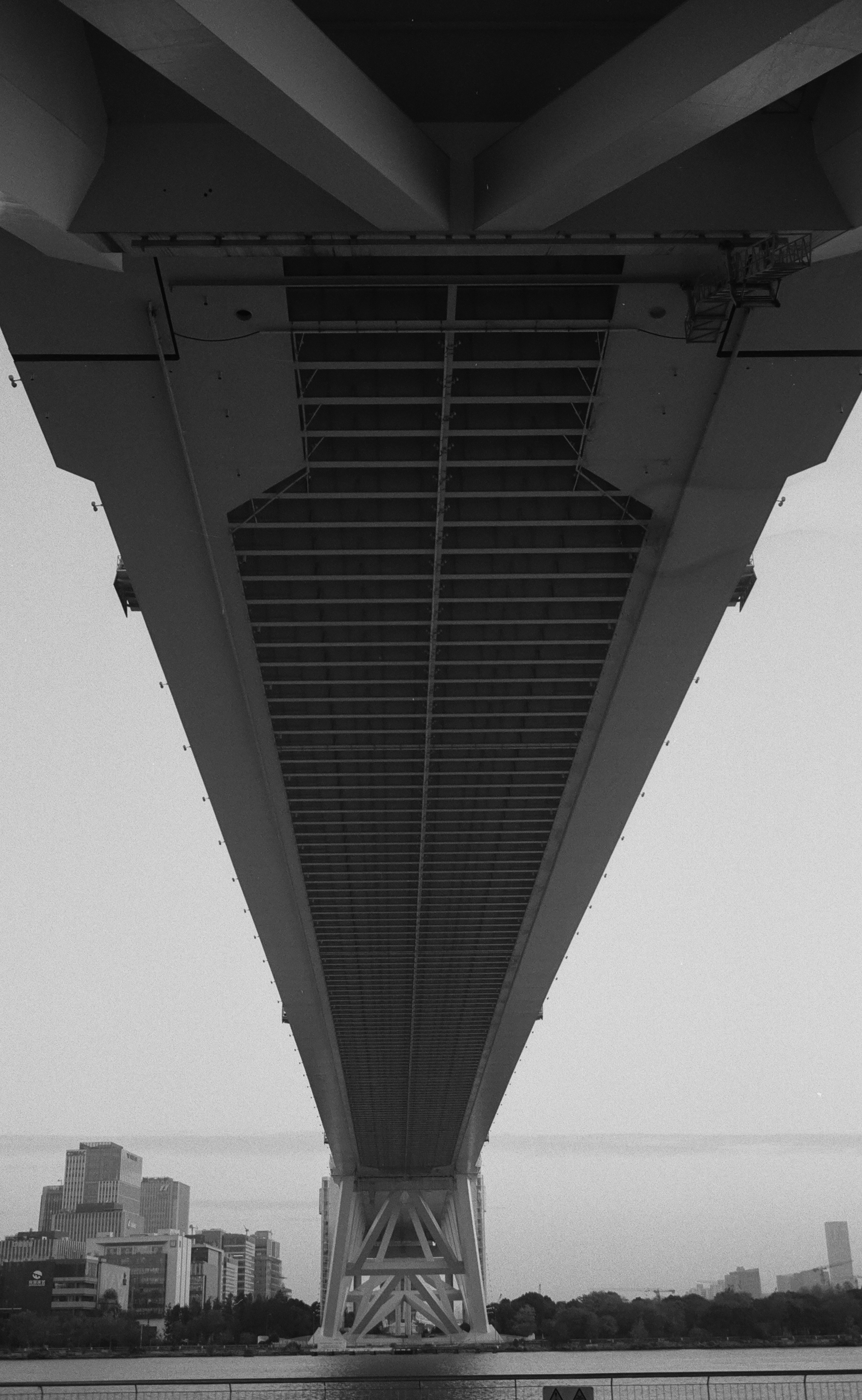 Photo by geraltyichen