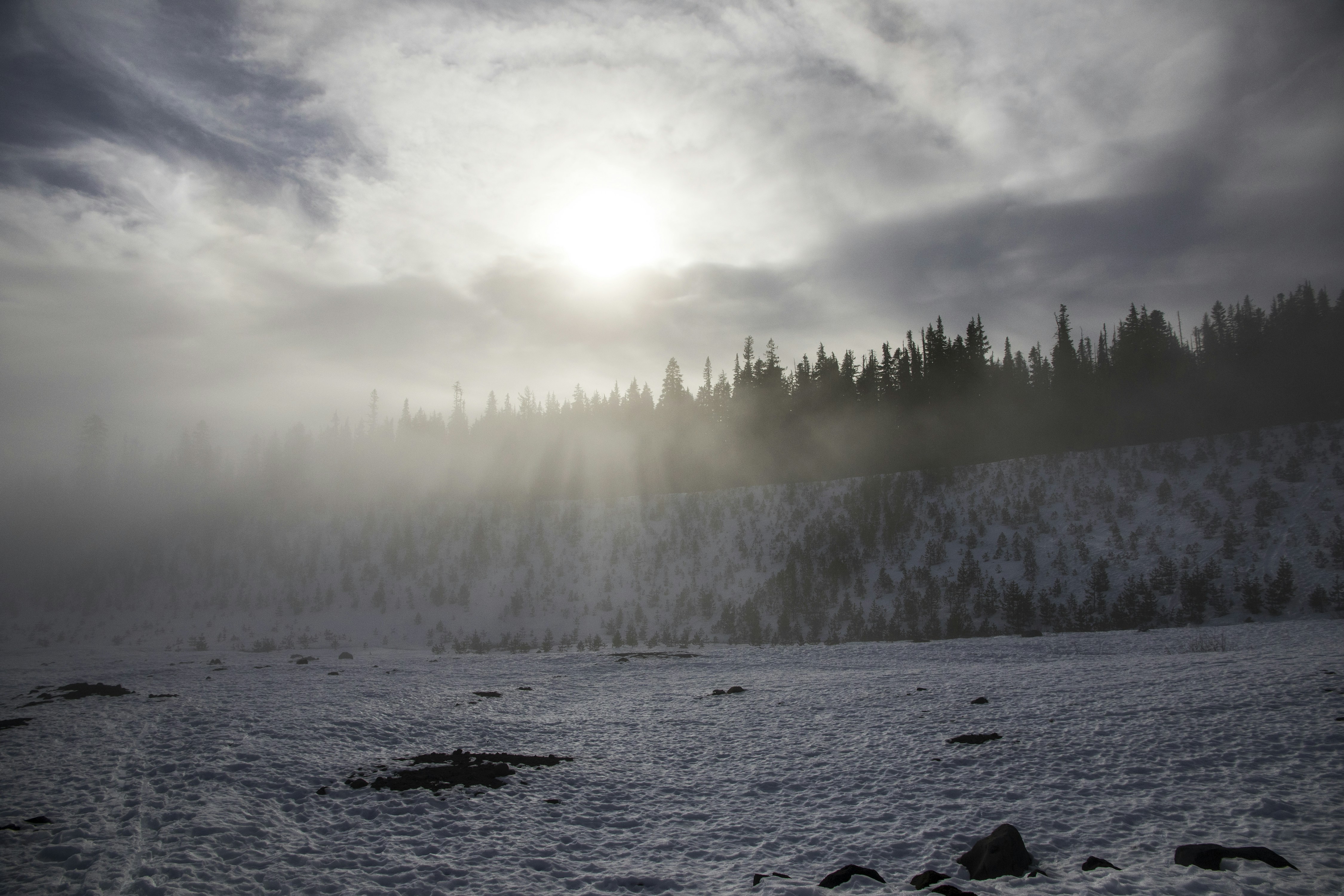 Photo by robincanfield