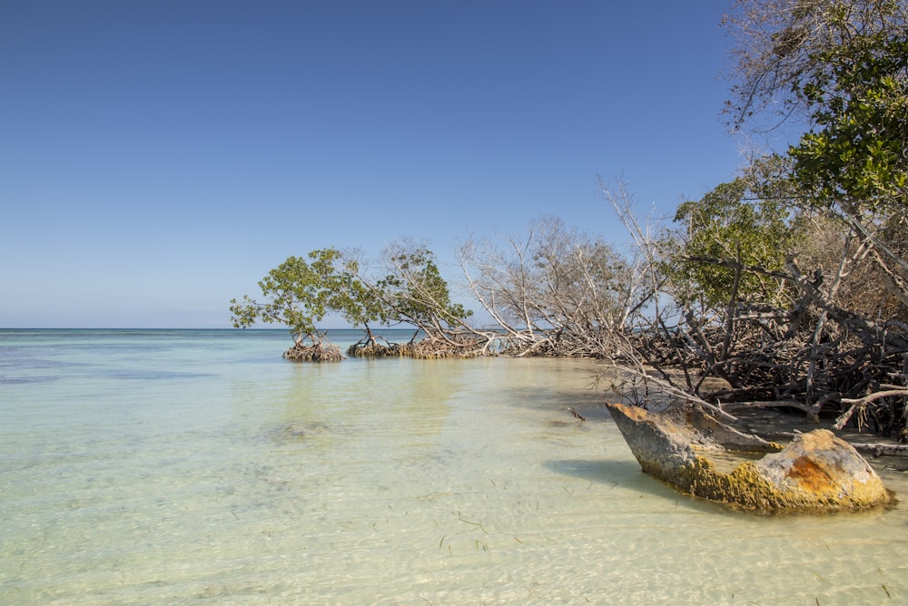 a boat sitting on top of a sandy beach