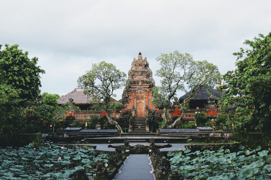 Ubud (Bali), view 1
