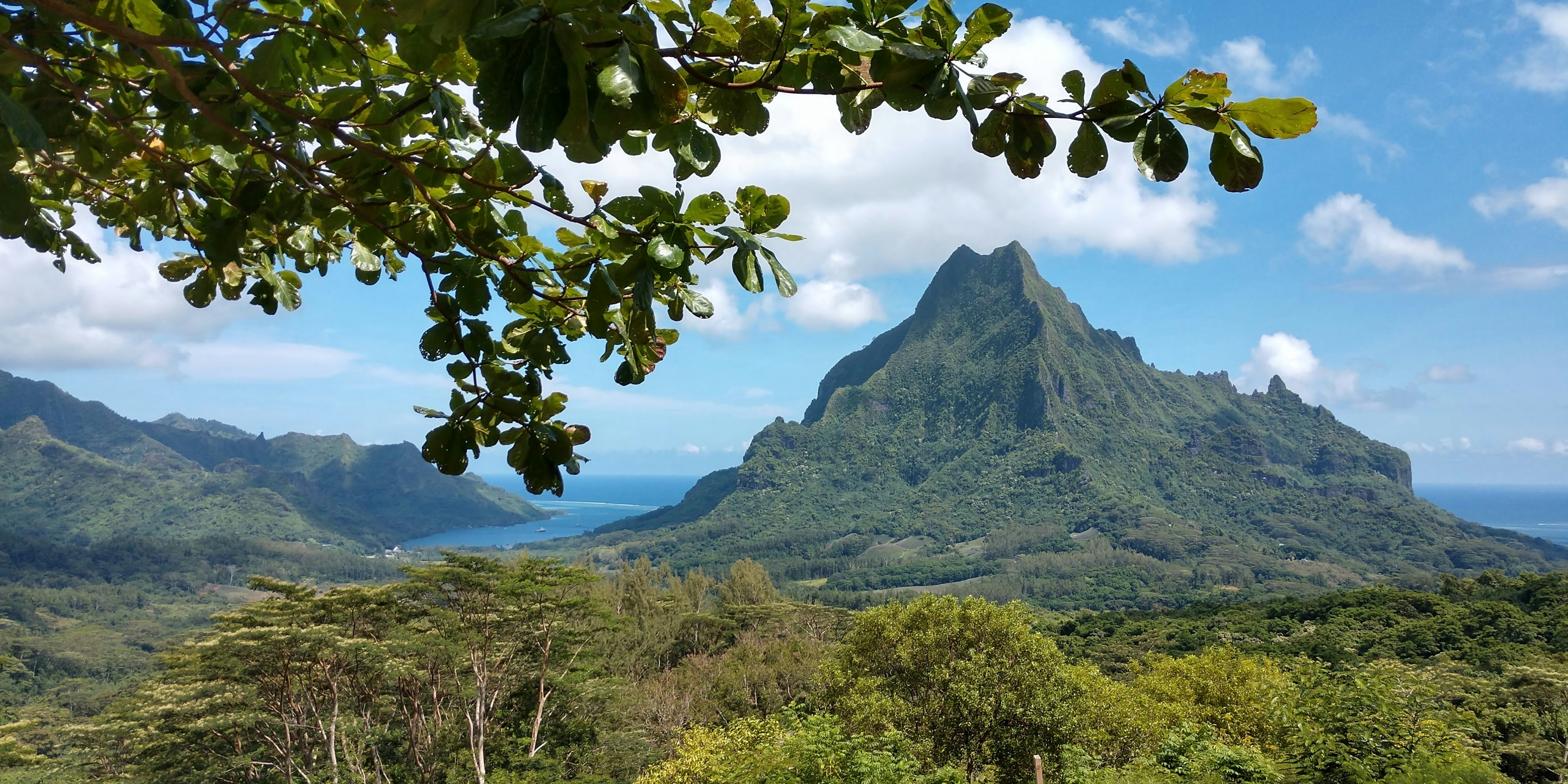 Photo by mrgphotography