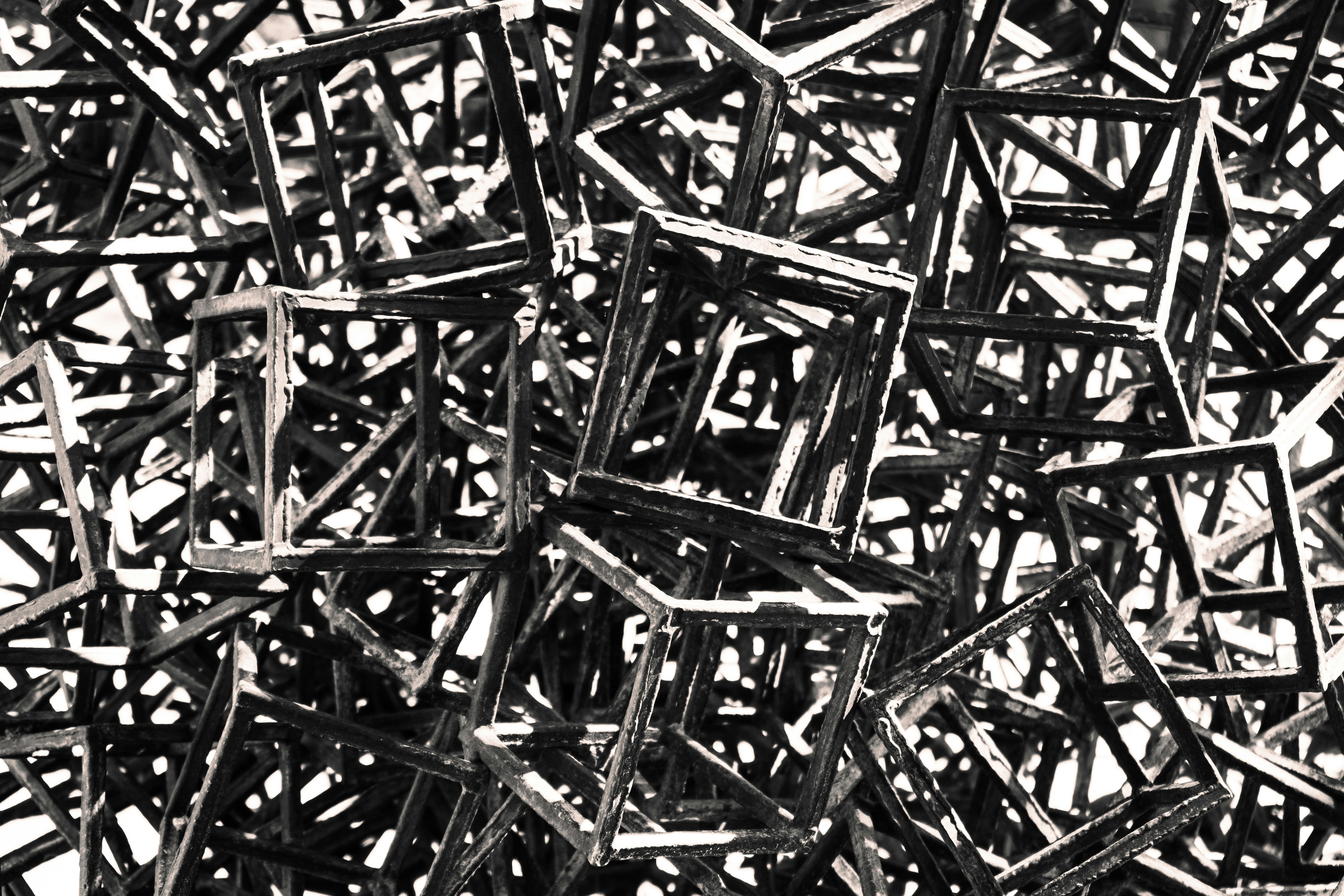 black and white photograph of a bunch of sticks