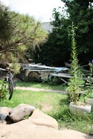 A garden setting with a variety of plants and trees, showing some overgrown grass. In the background, there are garden tools and equipment, including a bicycle and a wheelbarrow. The scene also features a large rock in the foreground.