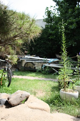 A garden setting with a variety of plants and trees, showing some overgrown grass. In the background, there are garden tools and equipment, including a bicycle and a wheelbarrow. The scene also features a large rock in the foreground.