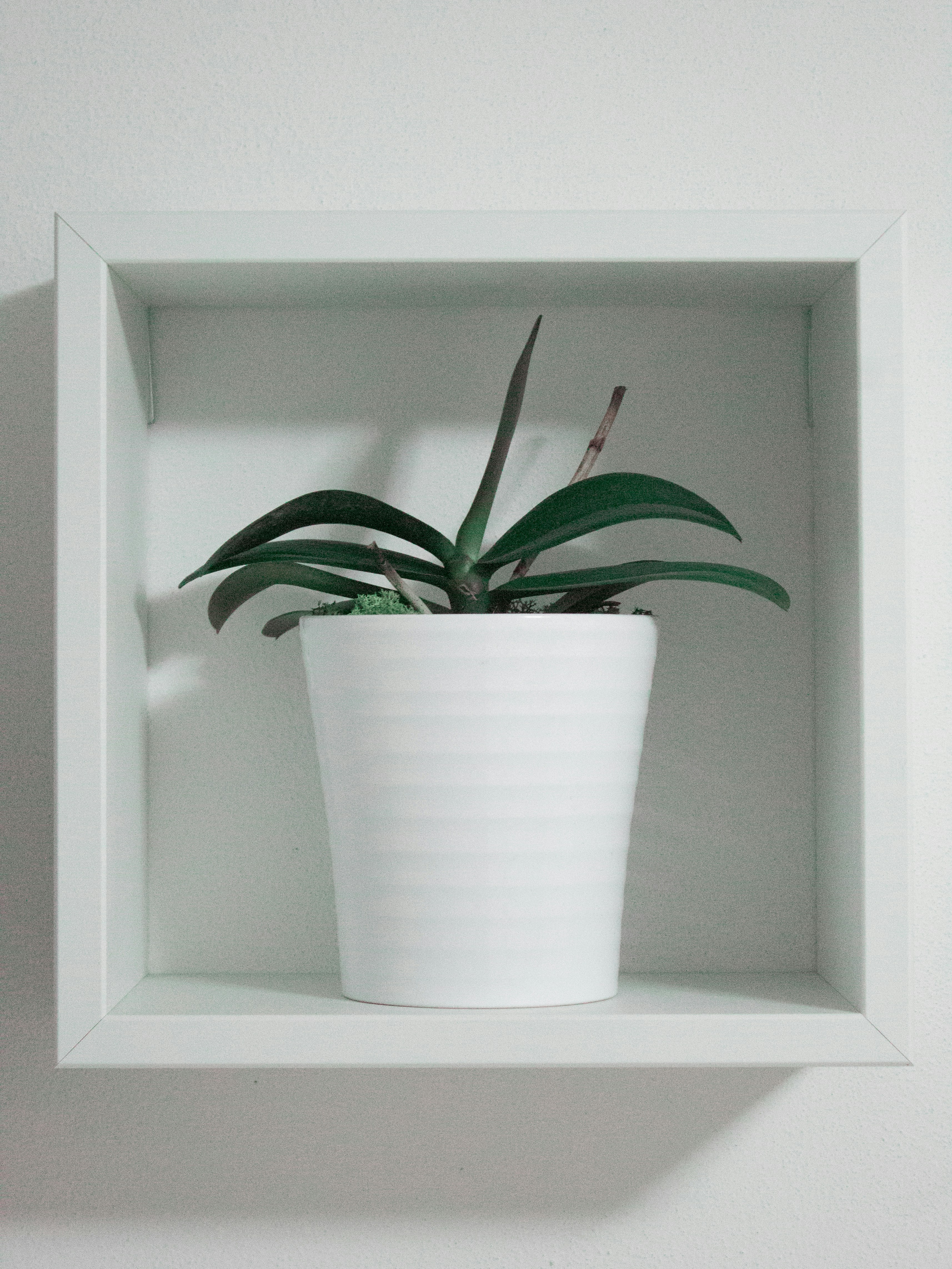 White Oak Floating Shelves: Give Your HOME A Rustic Feel!