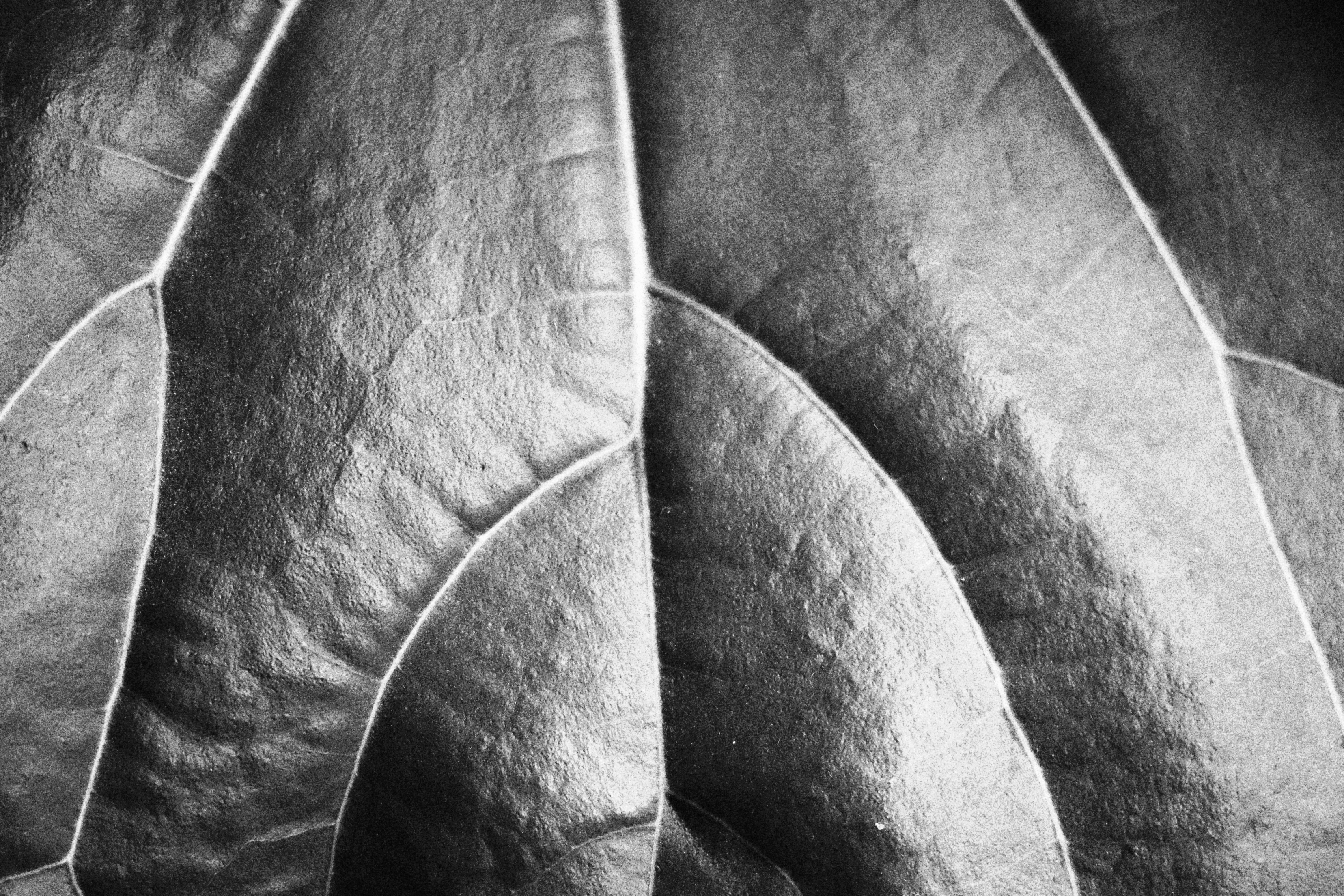 Photo by joseph_royer