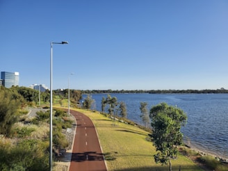 A peaceful lake surrounded by walking paths and bike tracks, with tree-lined streets and modern cafés bustling with smiling people.
