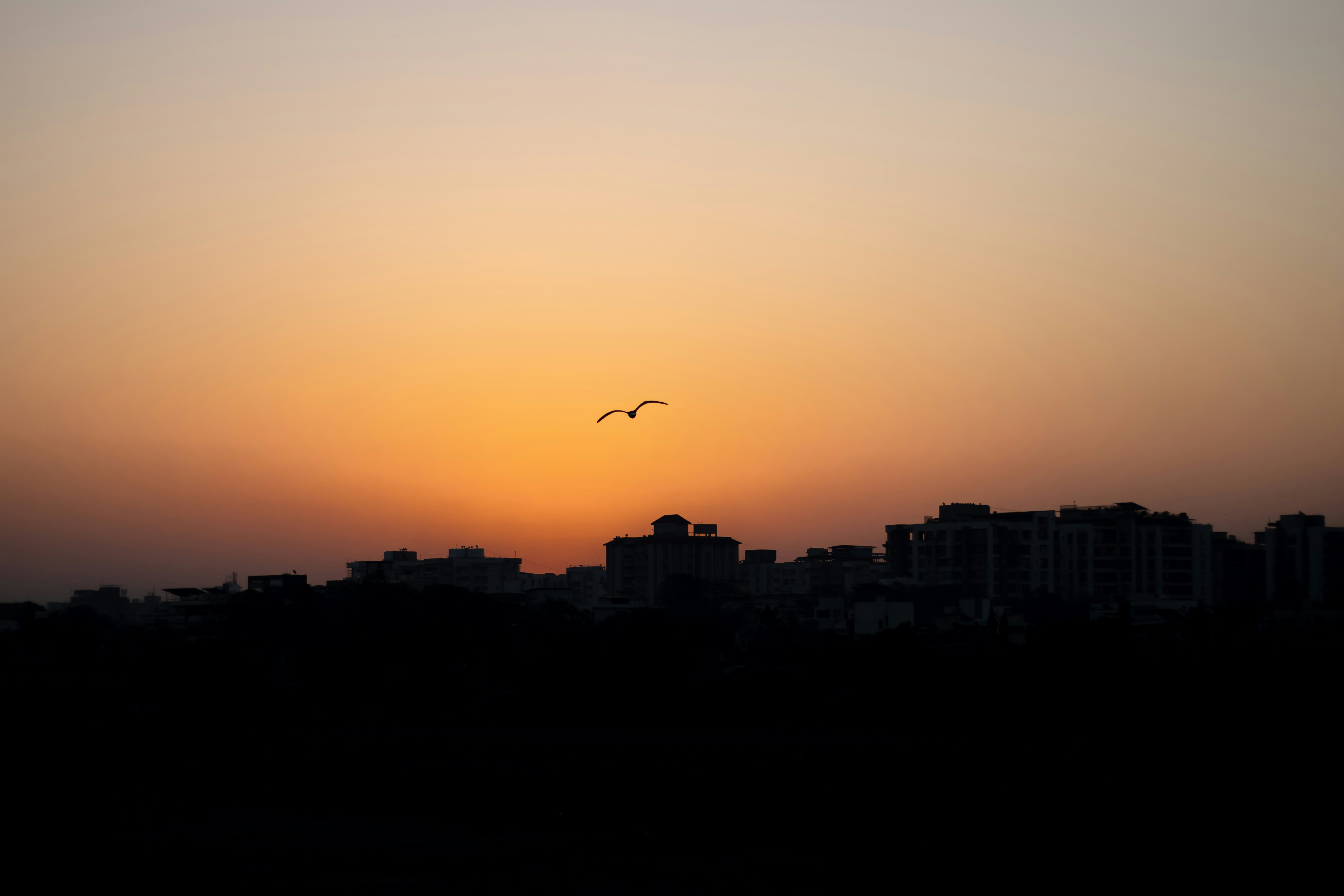 Photo by vdphotography