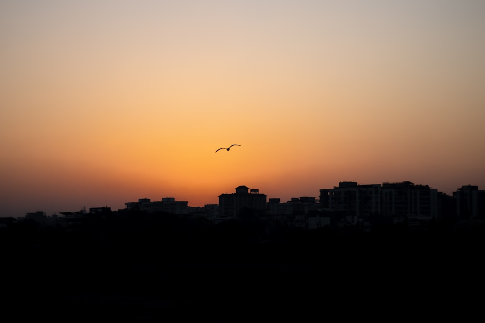 a bird flying over a city at sunset