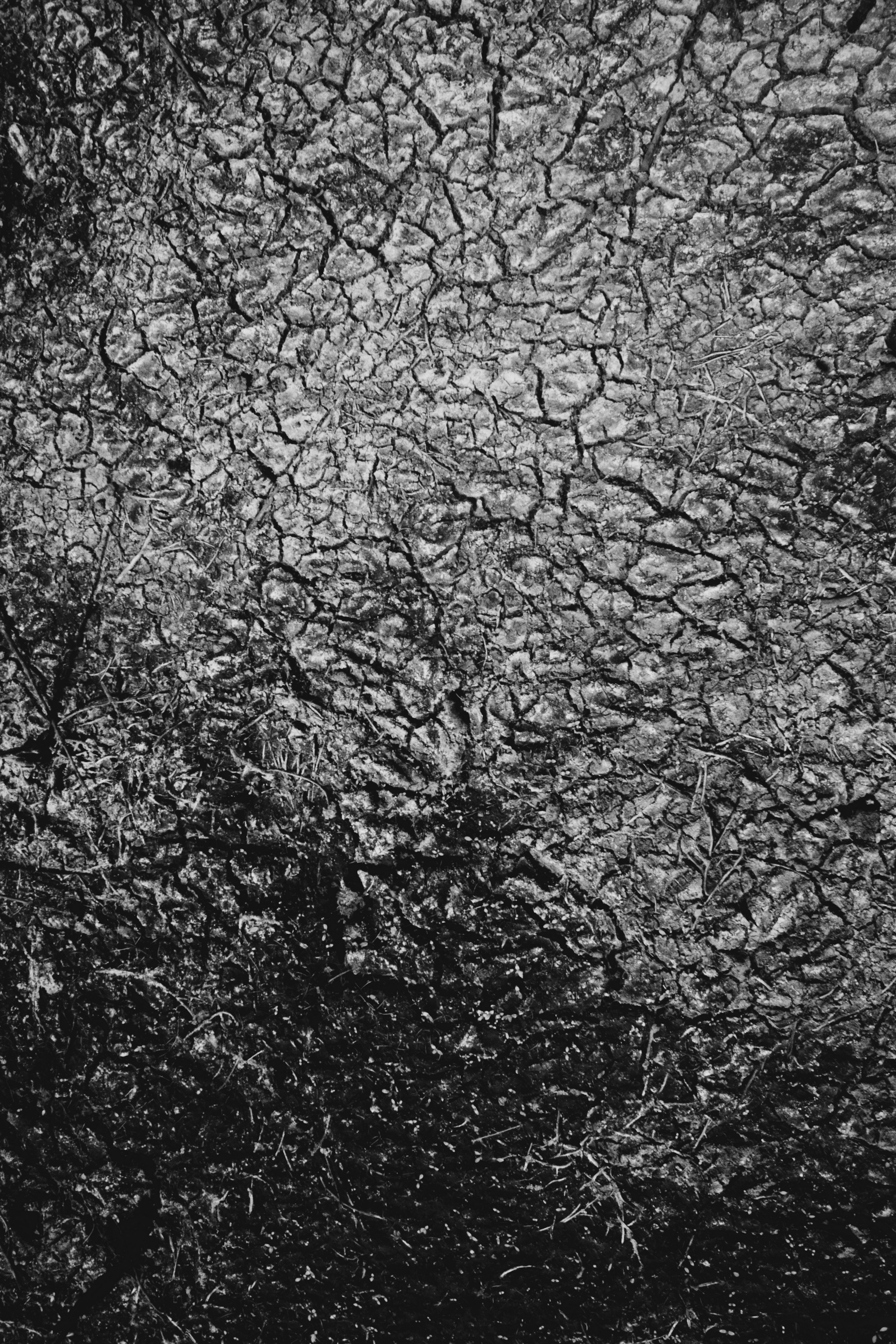 Photo by equilateral