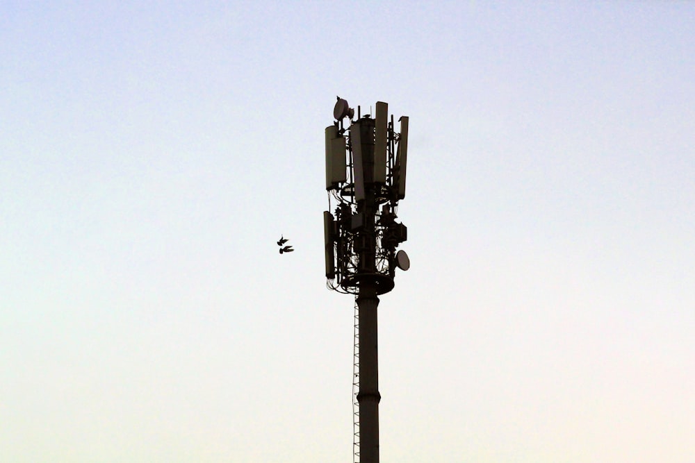 a street light with birds sitting on top of it