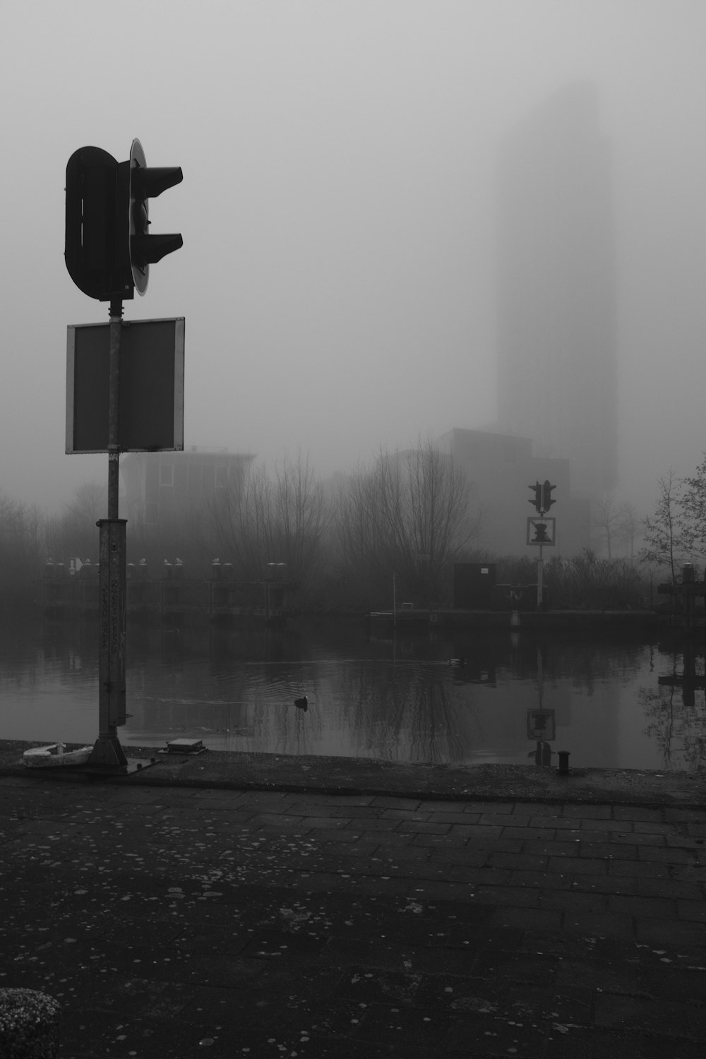 a traffic light sitting next to a body of water