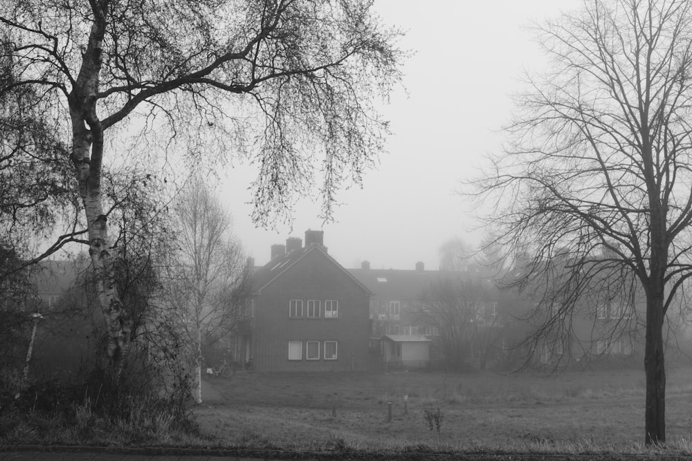 a house in the fog with trees in the foreground