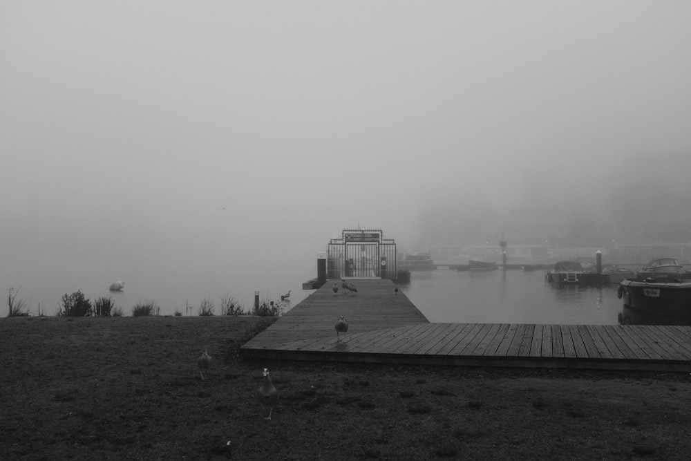 a foggy day at a dock on a lake