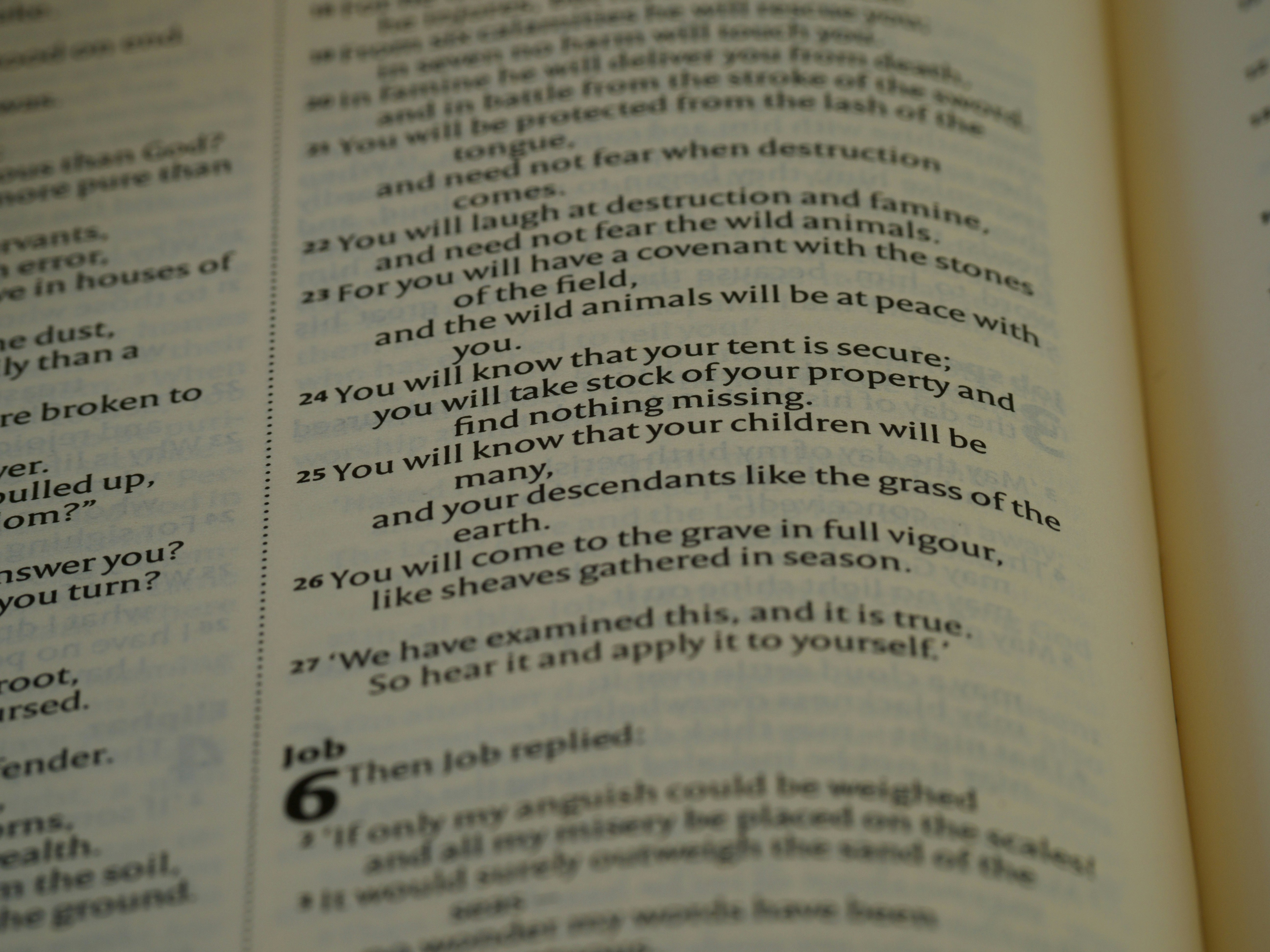 a close up of an open book with text