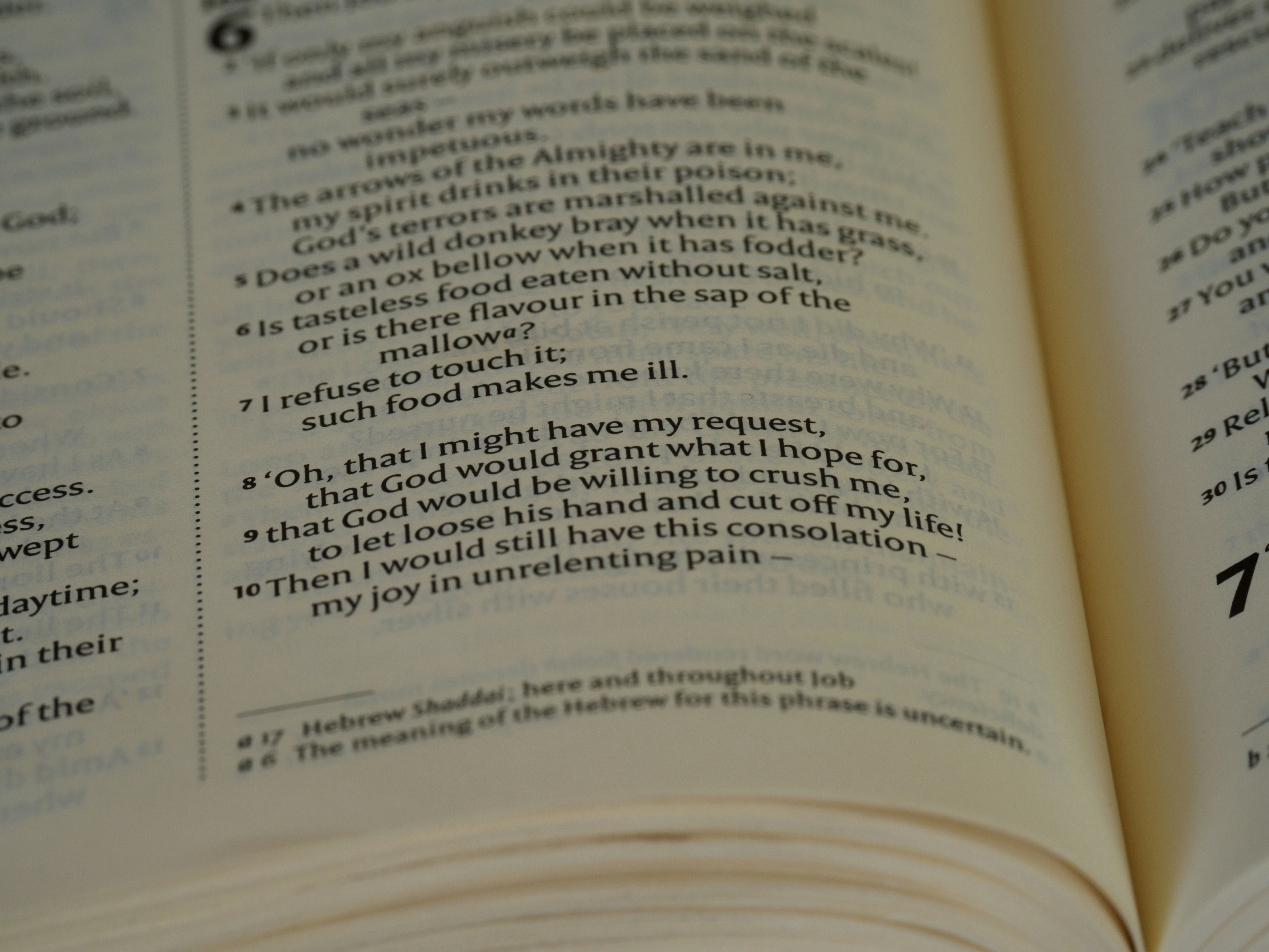 Photo by brett_jordan