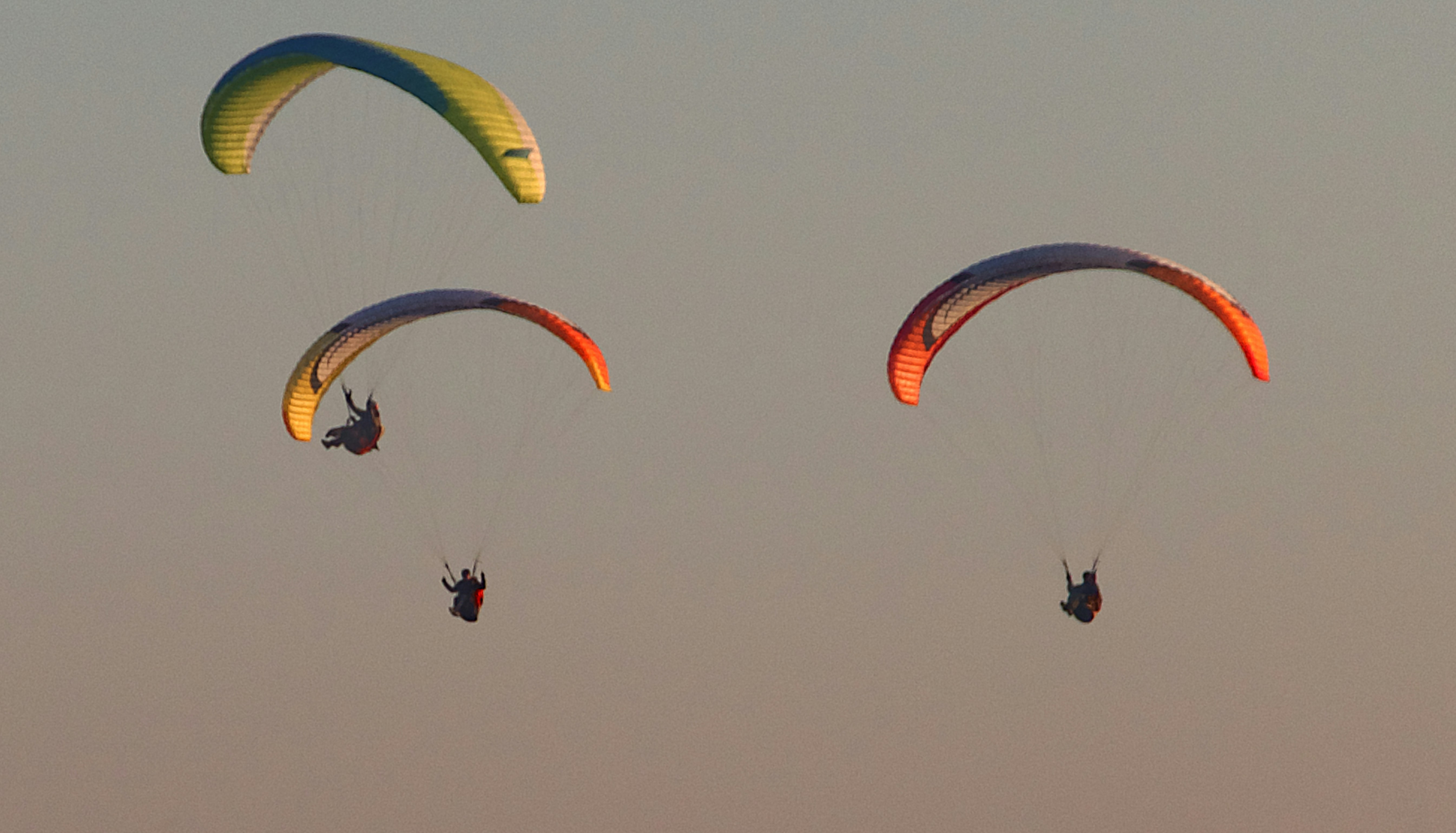 A training scene with paragliders, which connects well to the topic of wing sizes and beginner experiences.