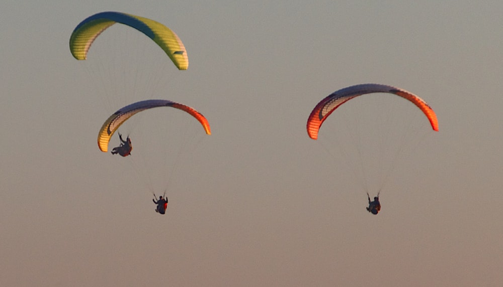 a group of people parasailing in the sky
