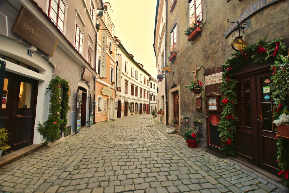 a cobblestone street in a european city