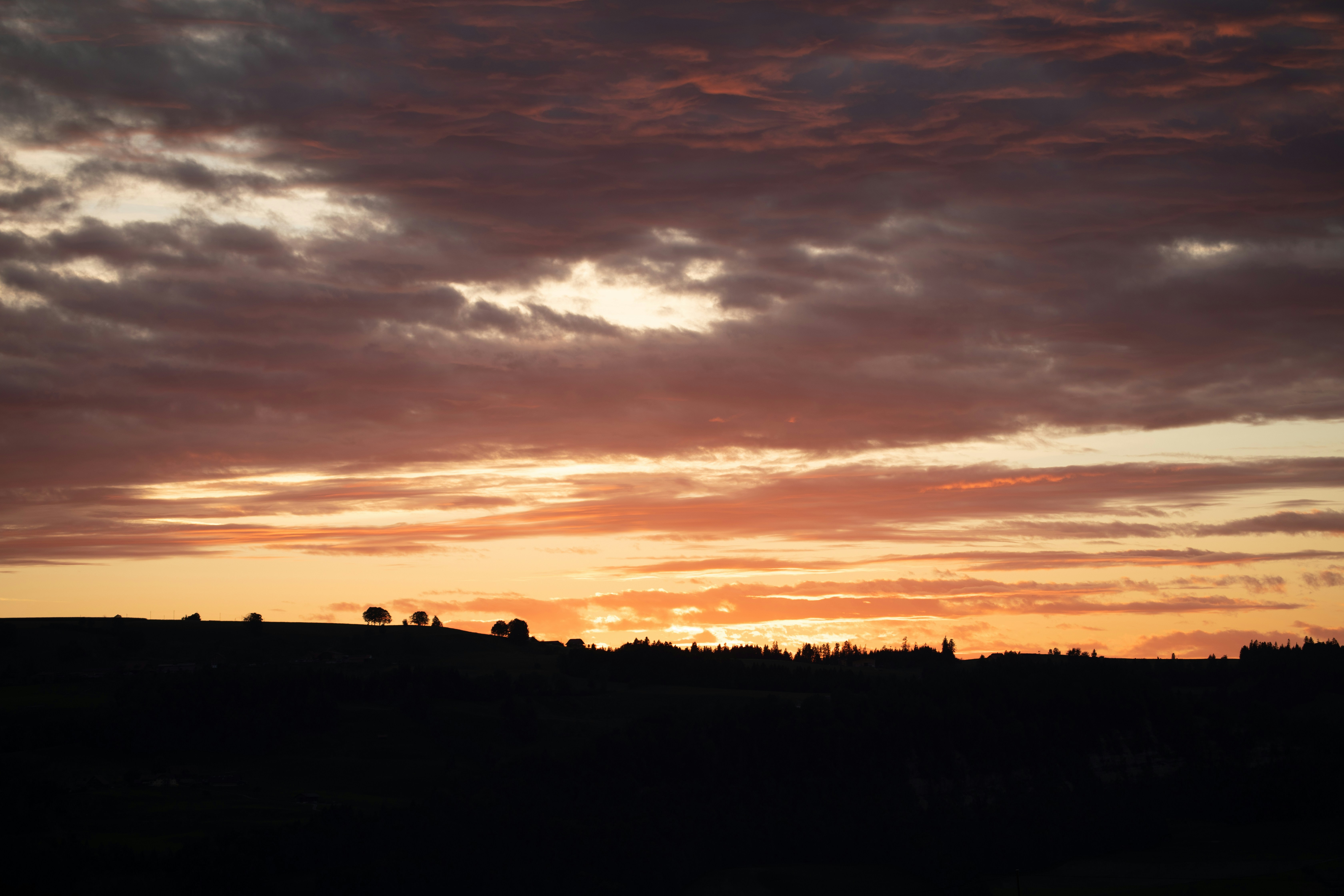 Photo by monabaechler