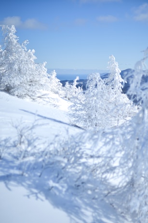 a person riding skis on a snowy surface