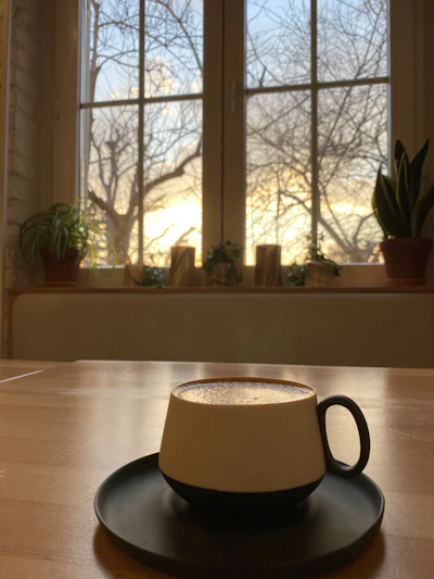 Warm sunlight filters through large windows onto a cozy corner where friends chat over steaming mugs of coffee.