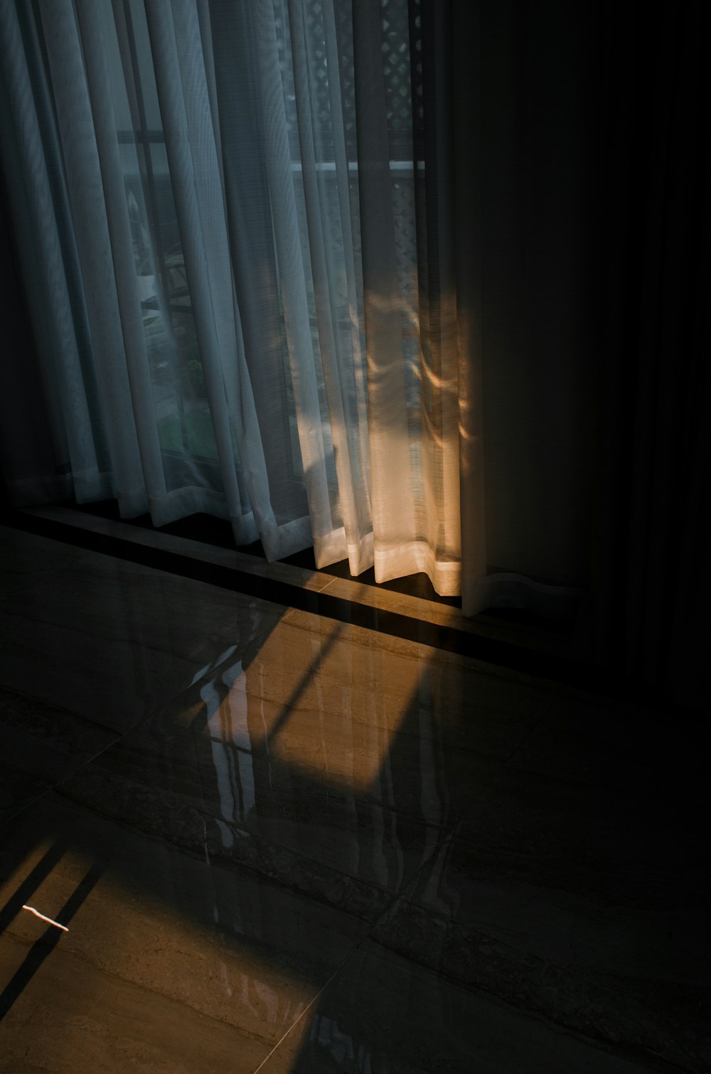 a cat sitting on the floor in front of a window