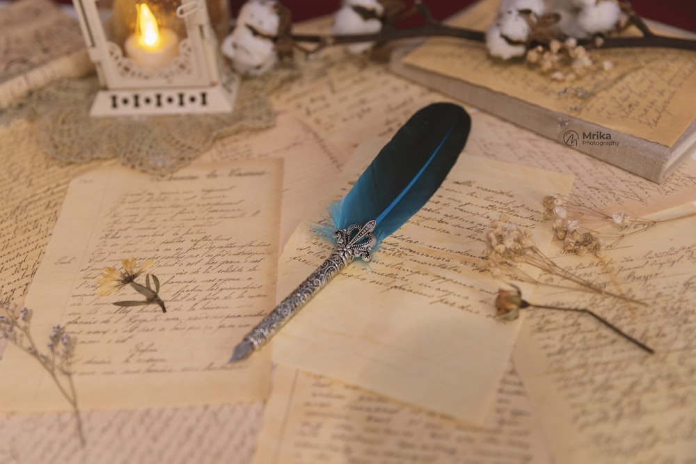 a blue feather quill sitting on top of an open book