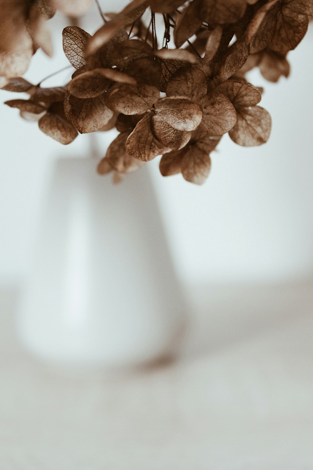 a white vase filled with lots of dried flowers