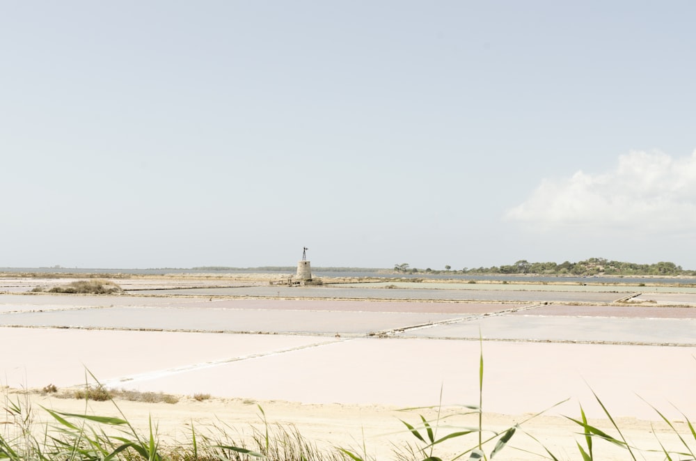 a person standing on a beach near a body of water