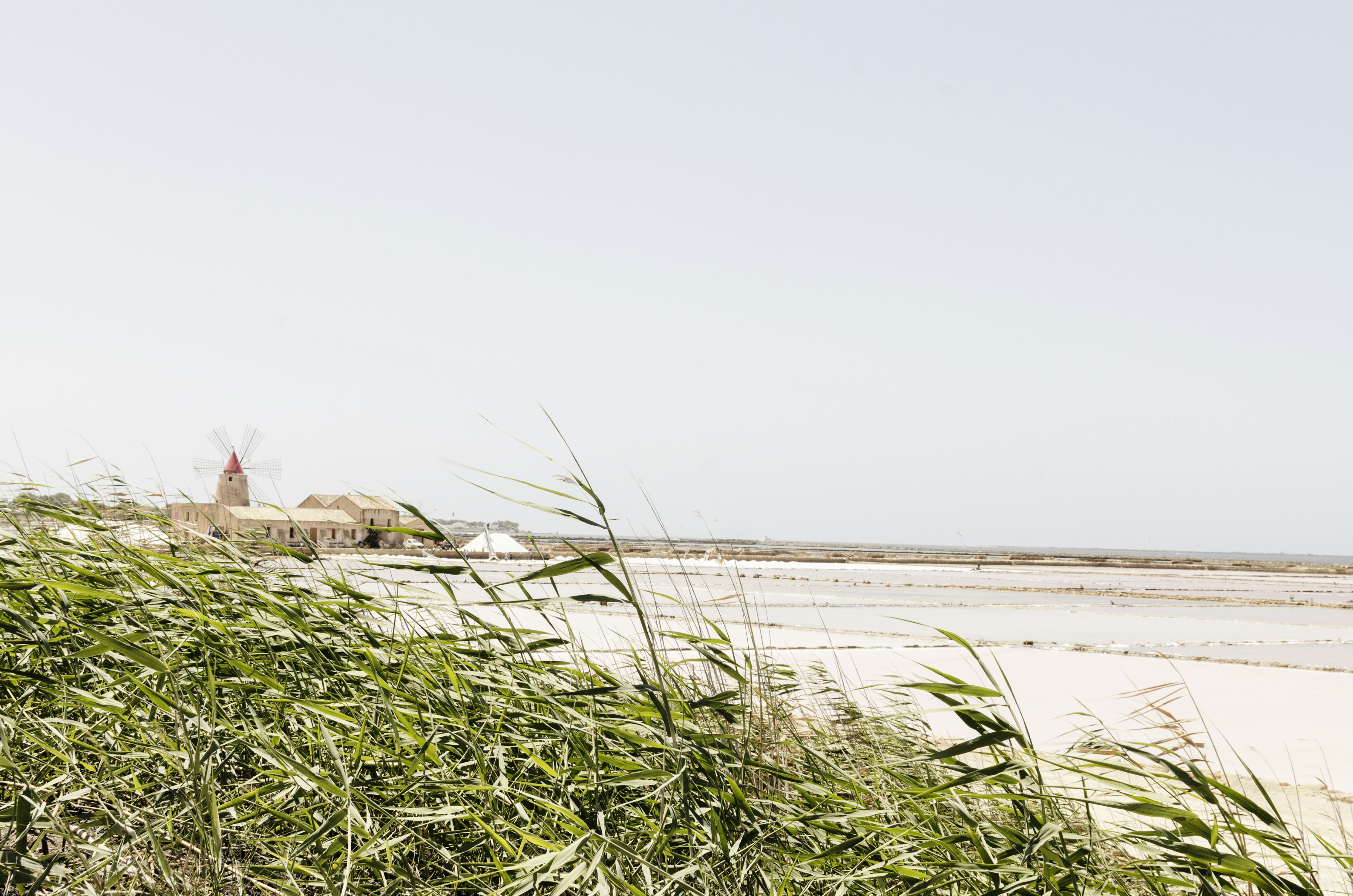 a view of a beach with a house in the background