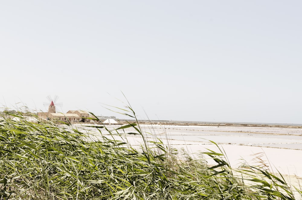 una vista di una spiaggia con una casa sullo sfondo