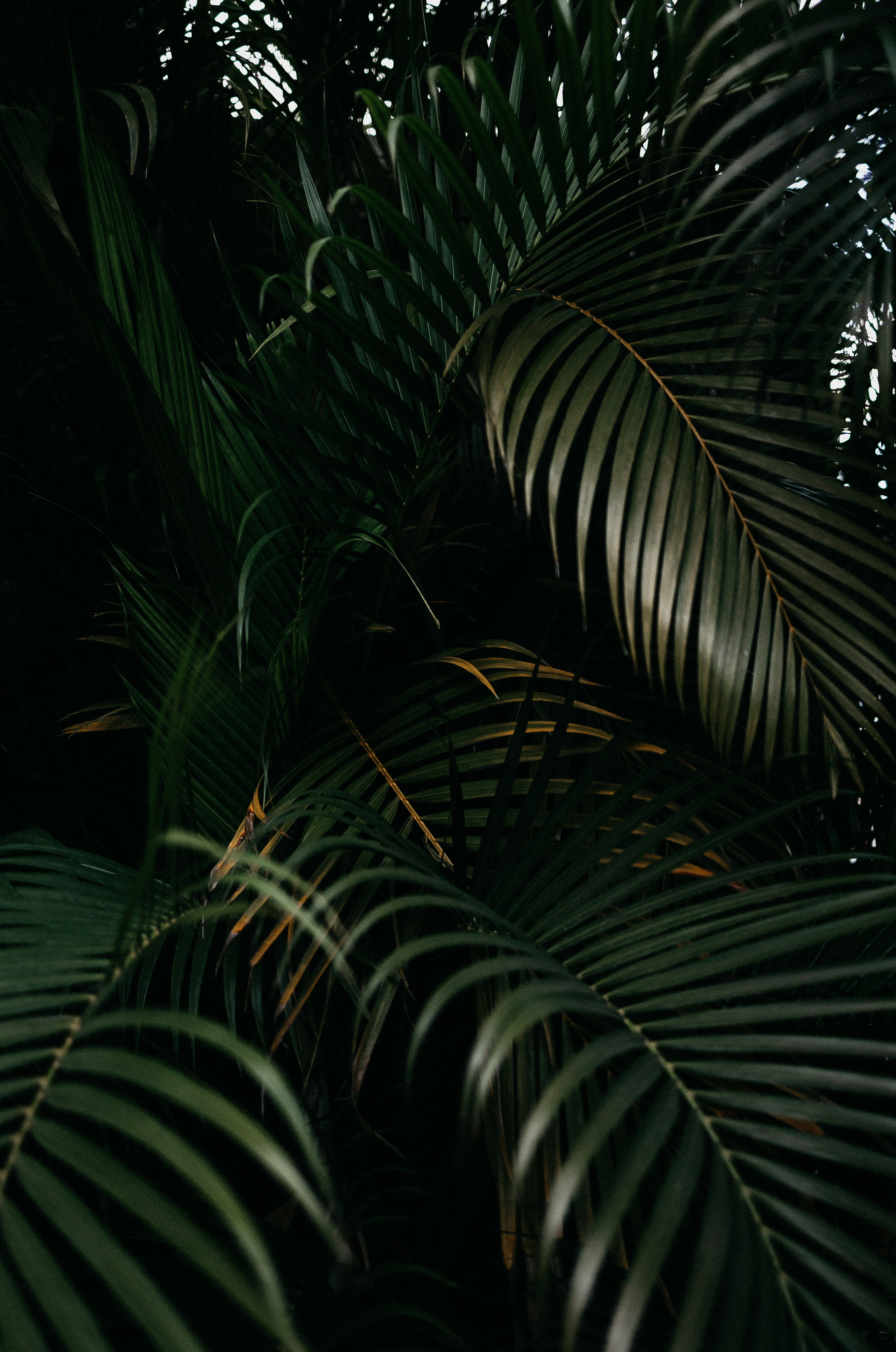 Photo by eusouomatteus