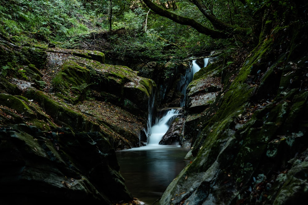 a small waterfall running through a lush green forest