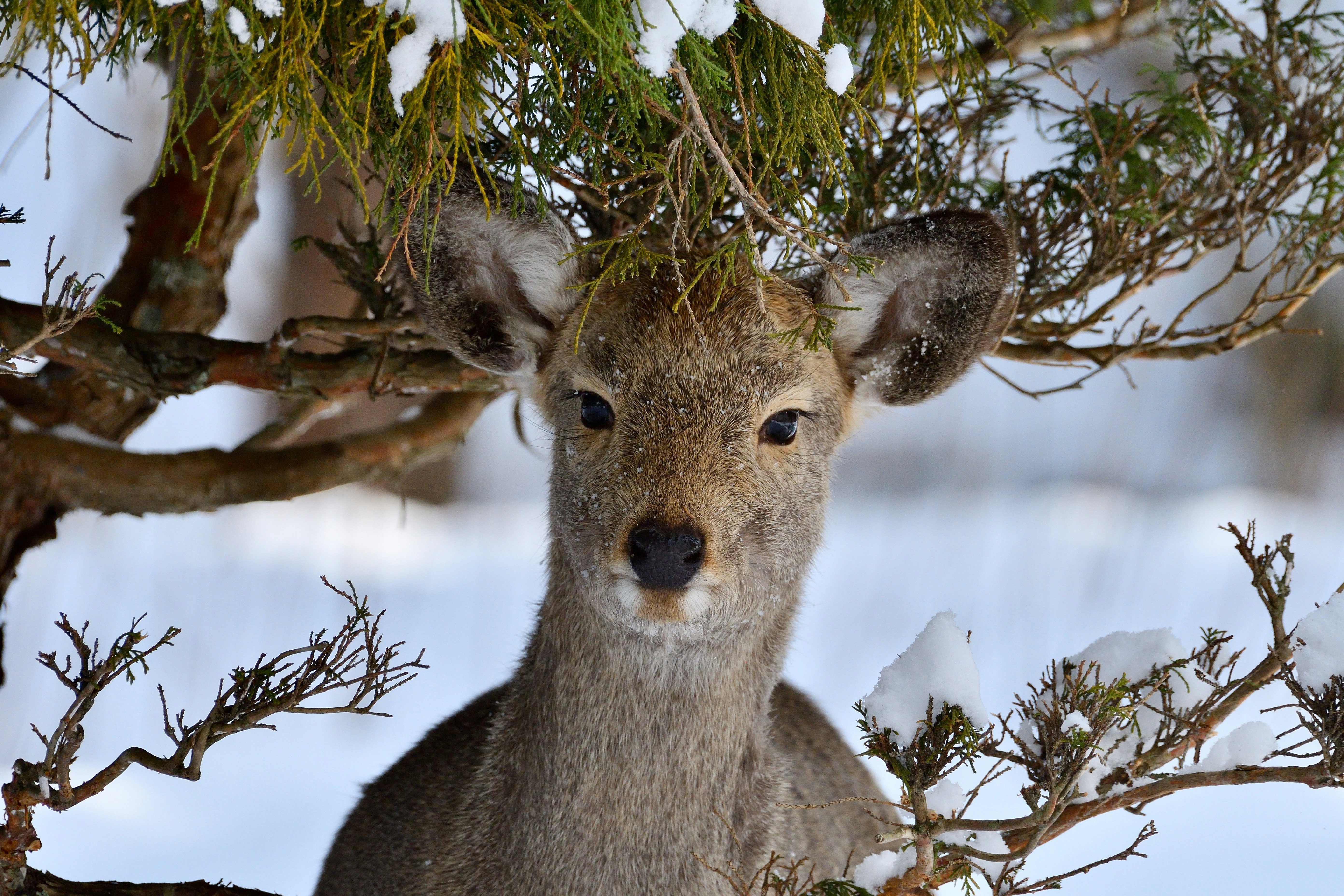 Photo by freezer_nico