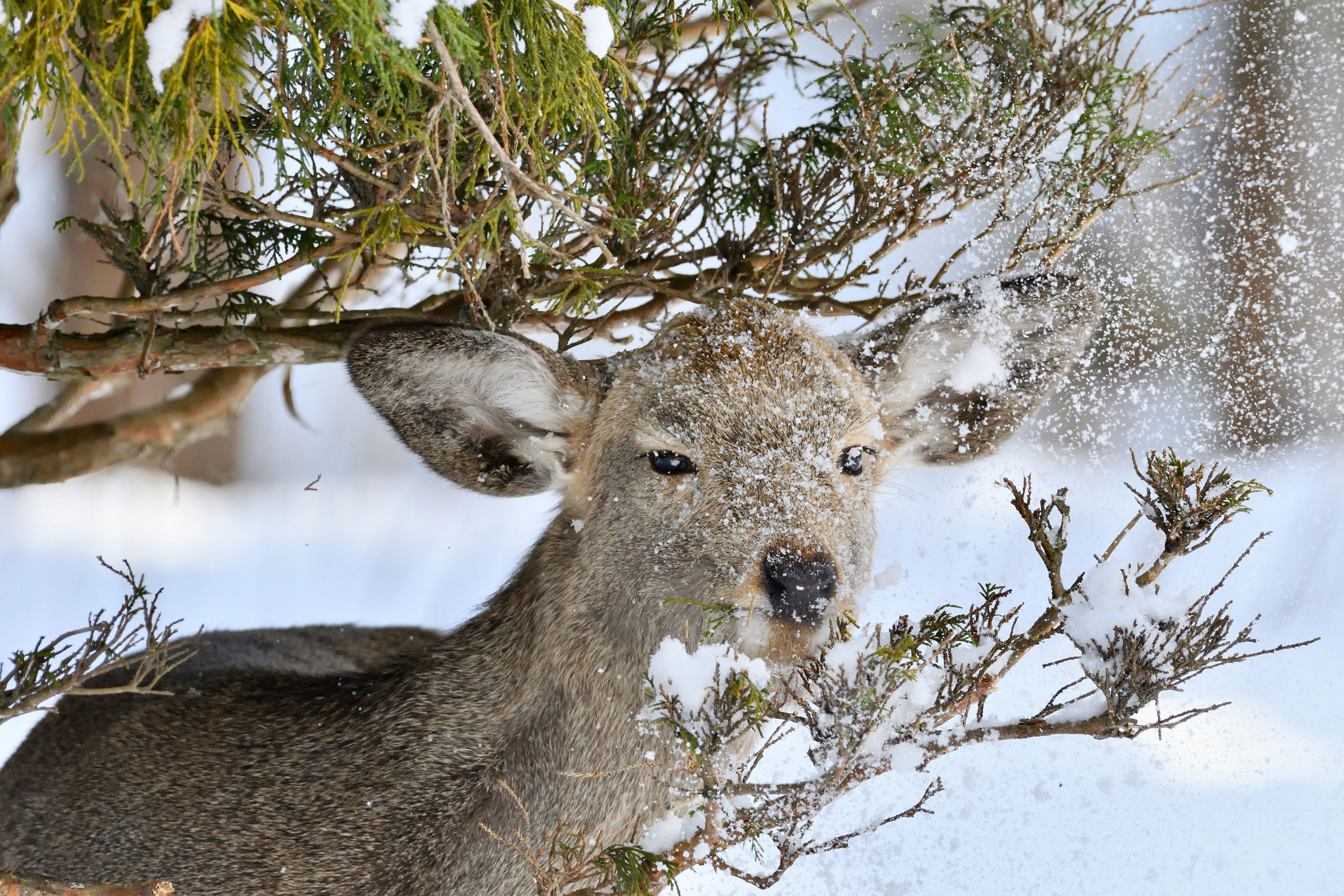 Photo by freezer_nico