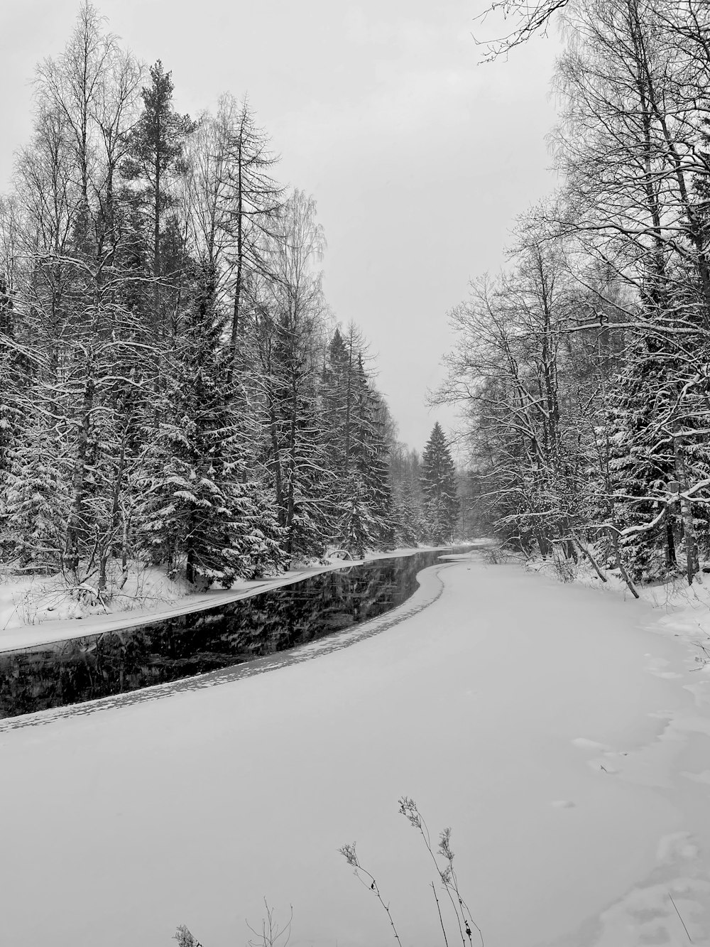 uma estrada coberta de neve no meio de uma floresta