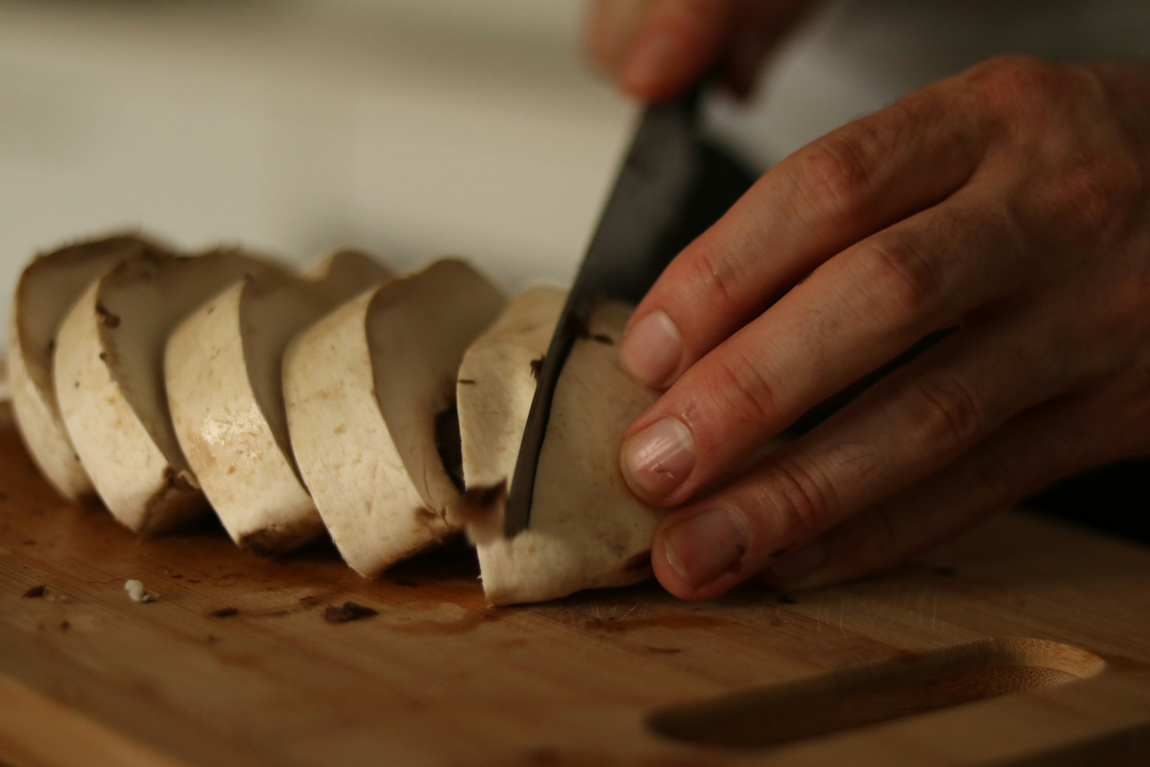 Photo by allysphotos