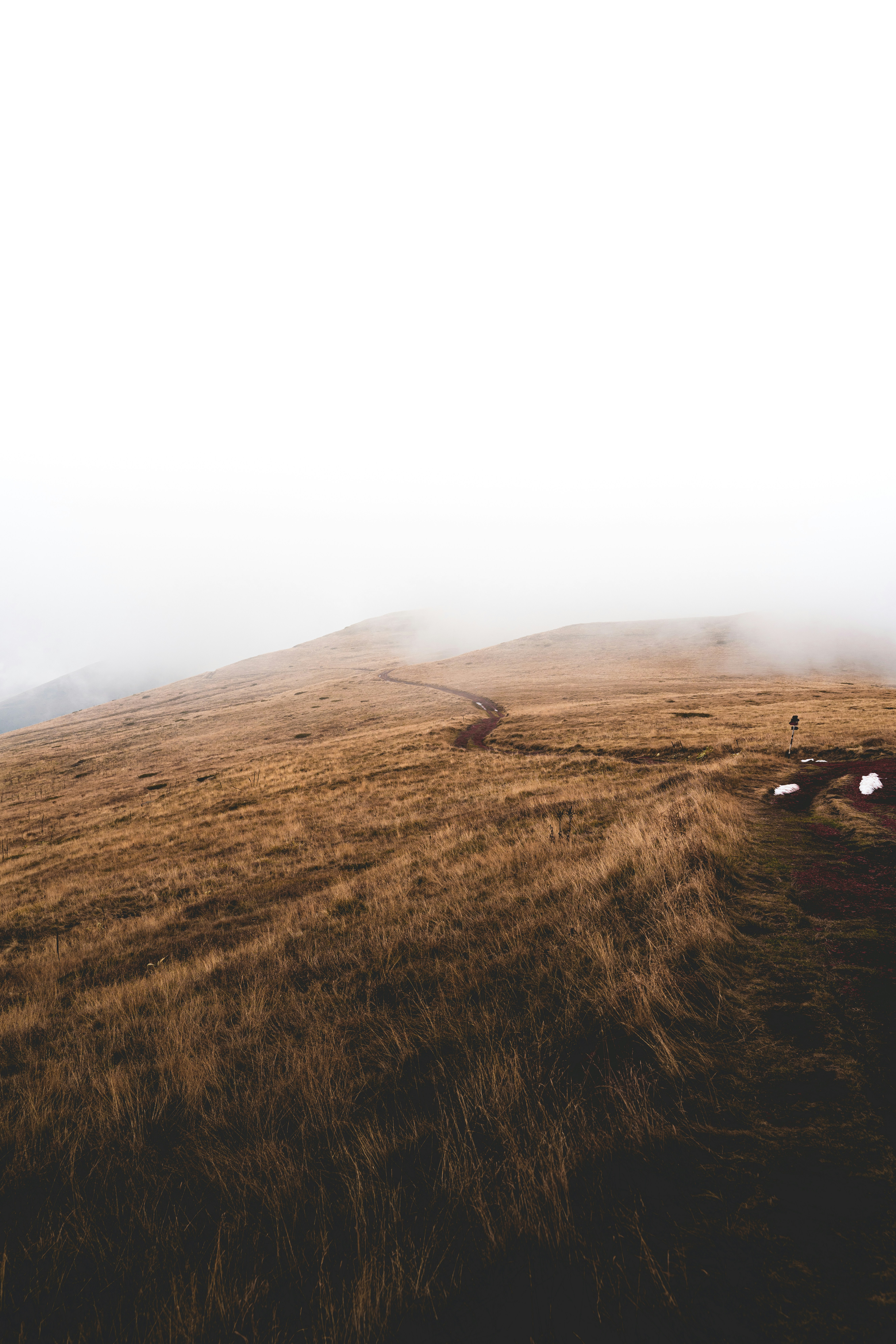 Photo by djordjevukojicic