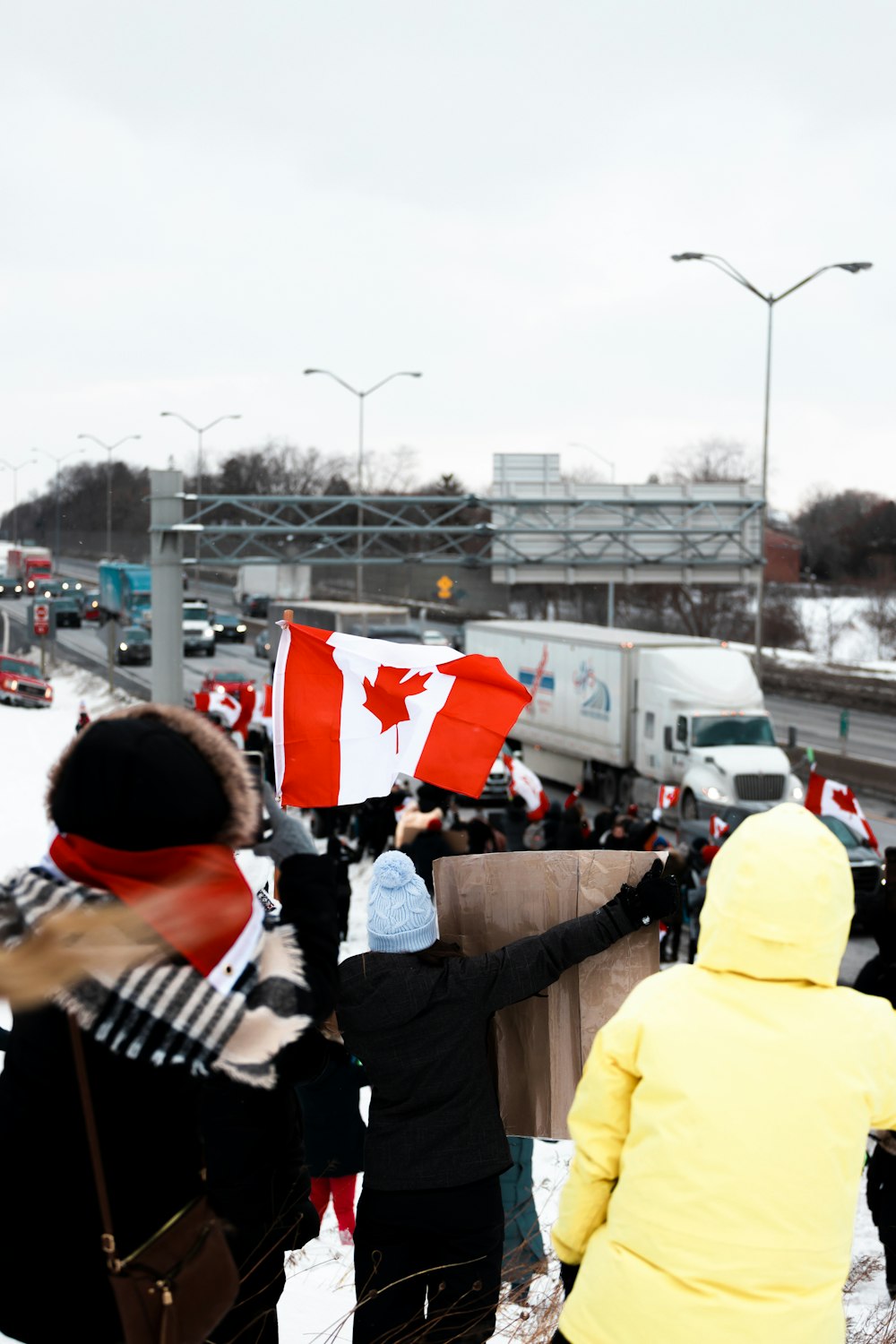 a group of people holding canadian flags in the snow