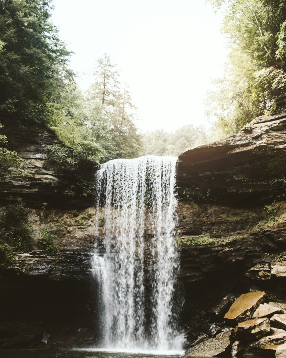 a waterfall in the middle of a forest