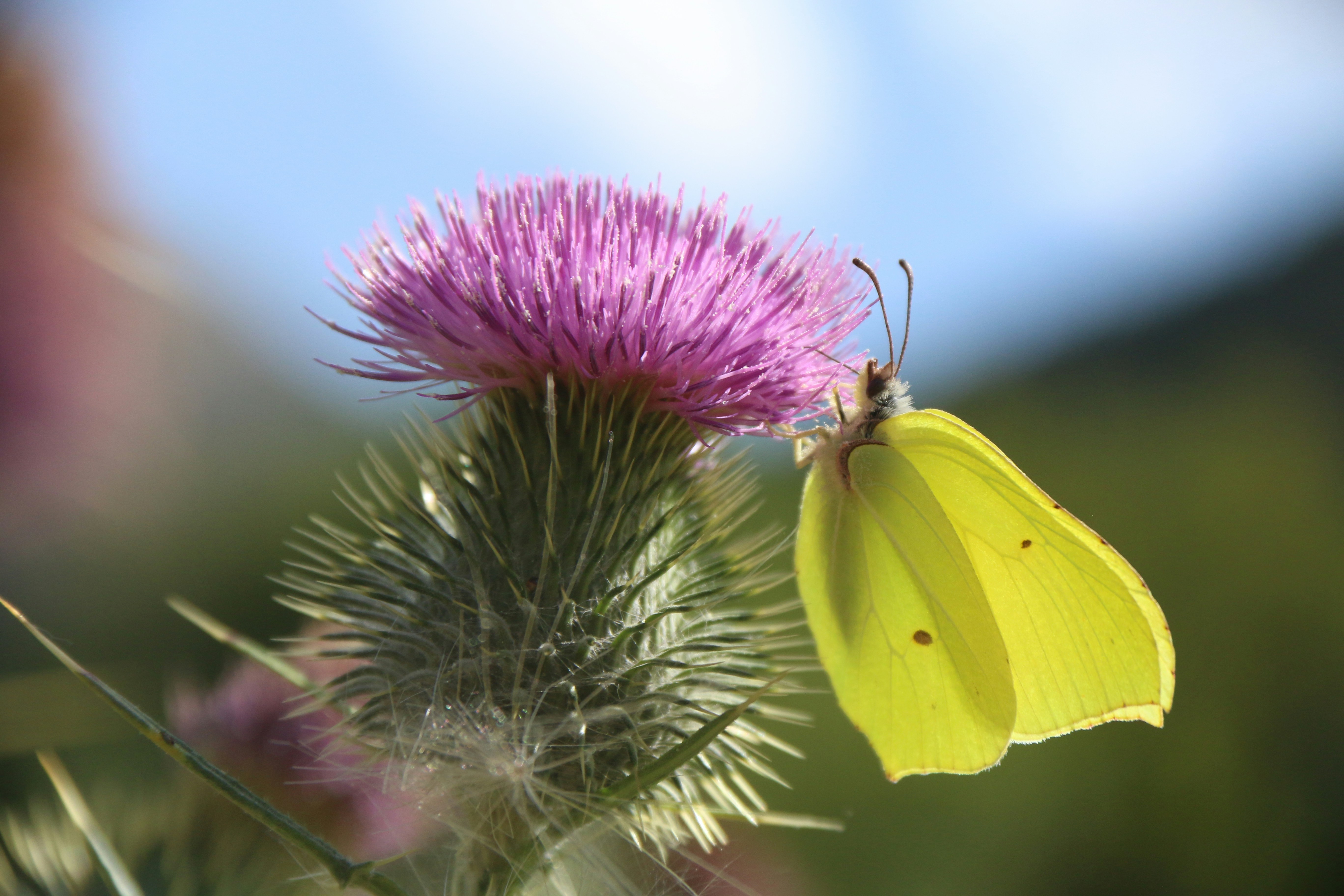 Photo by unternata