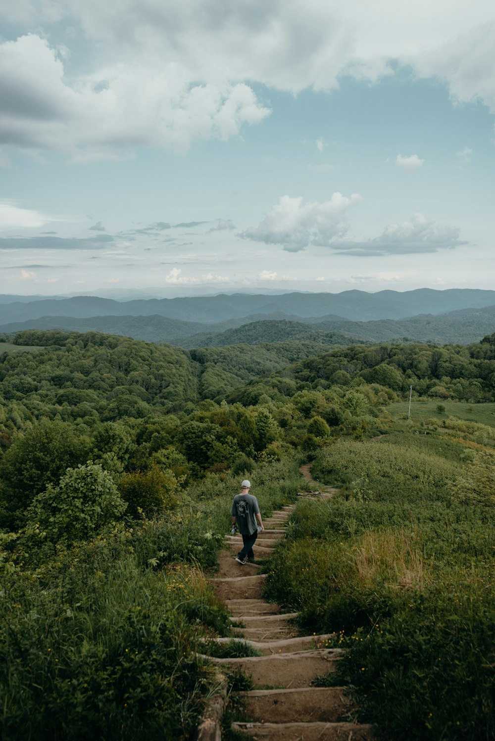 a person walking up a set of steps in the woods