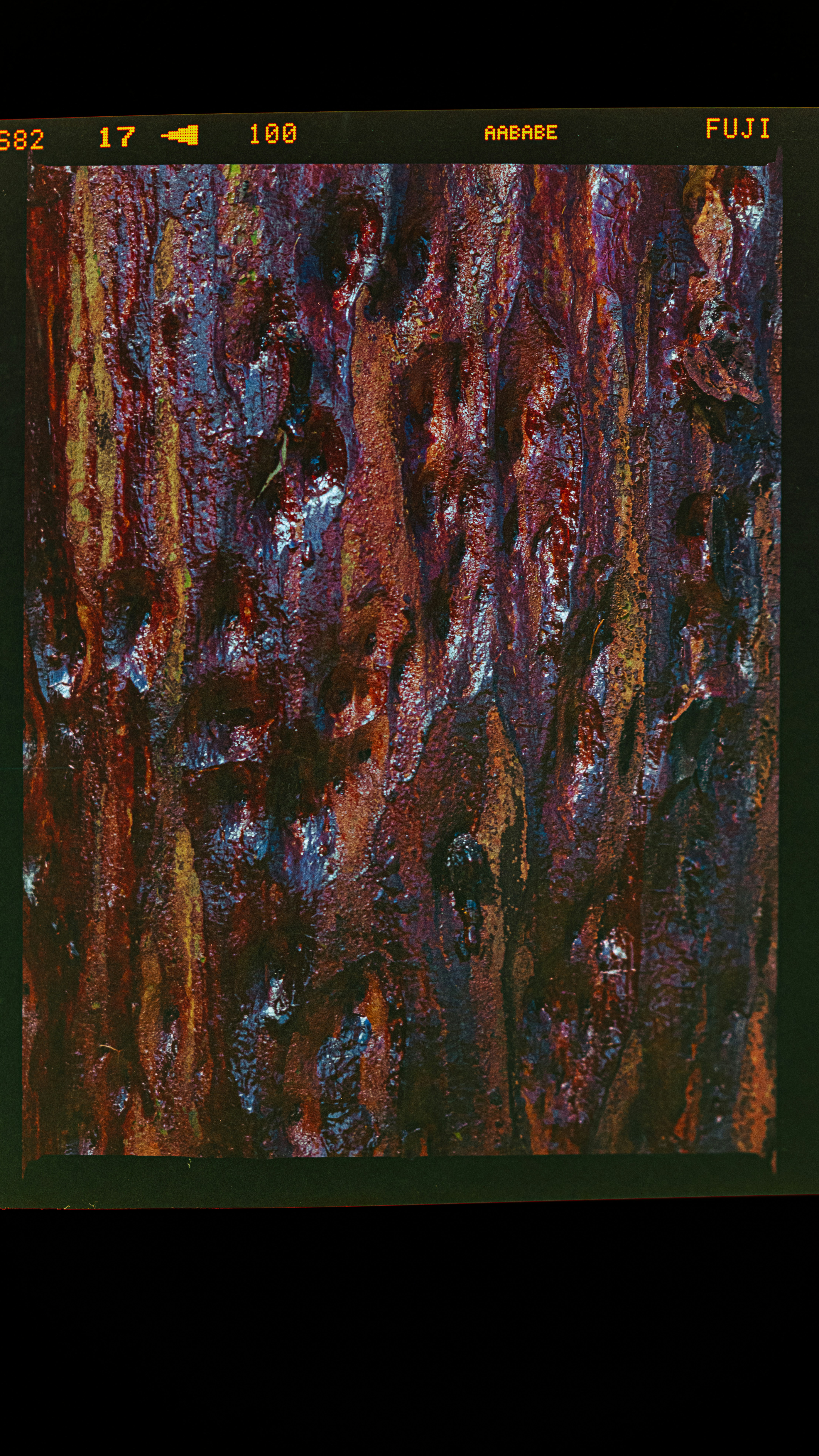 Photo by scottagoodwill